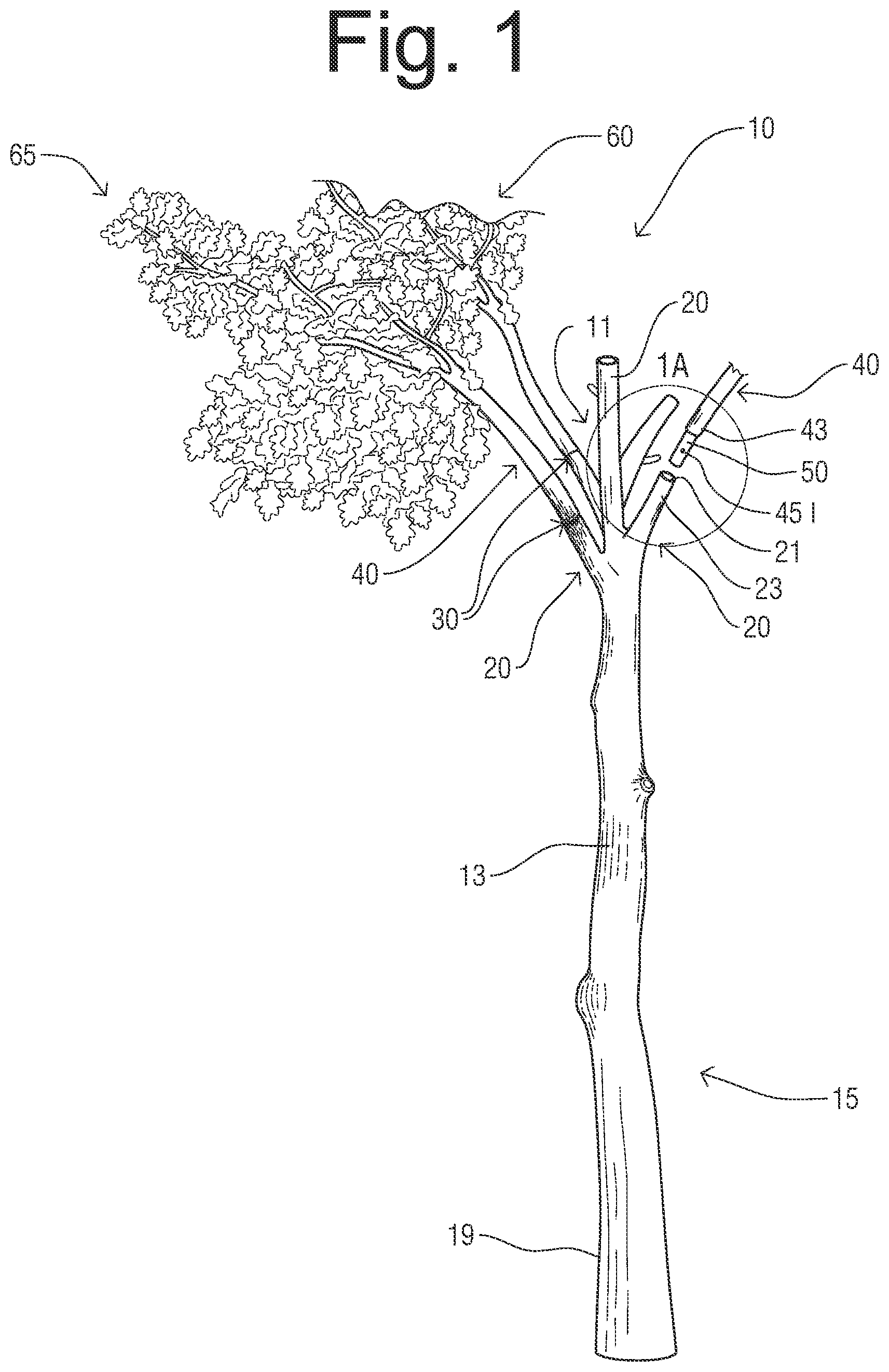 Patent US12302970 — Decorative tree with insertable, interchangeable branches system and method — Figure 1