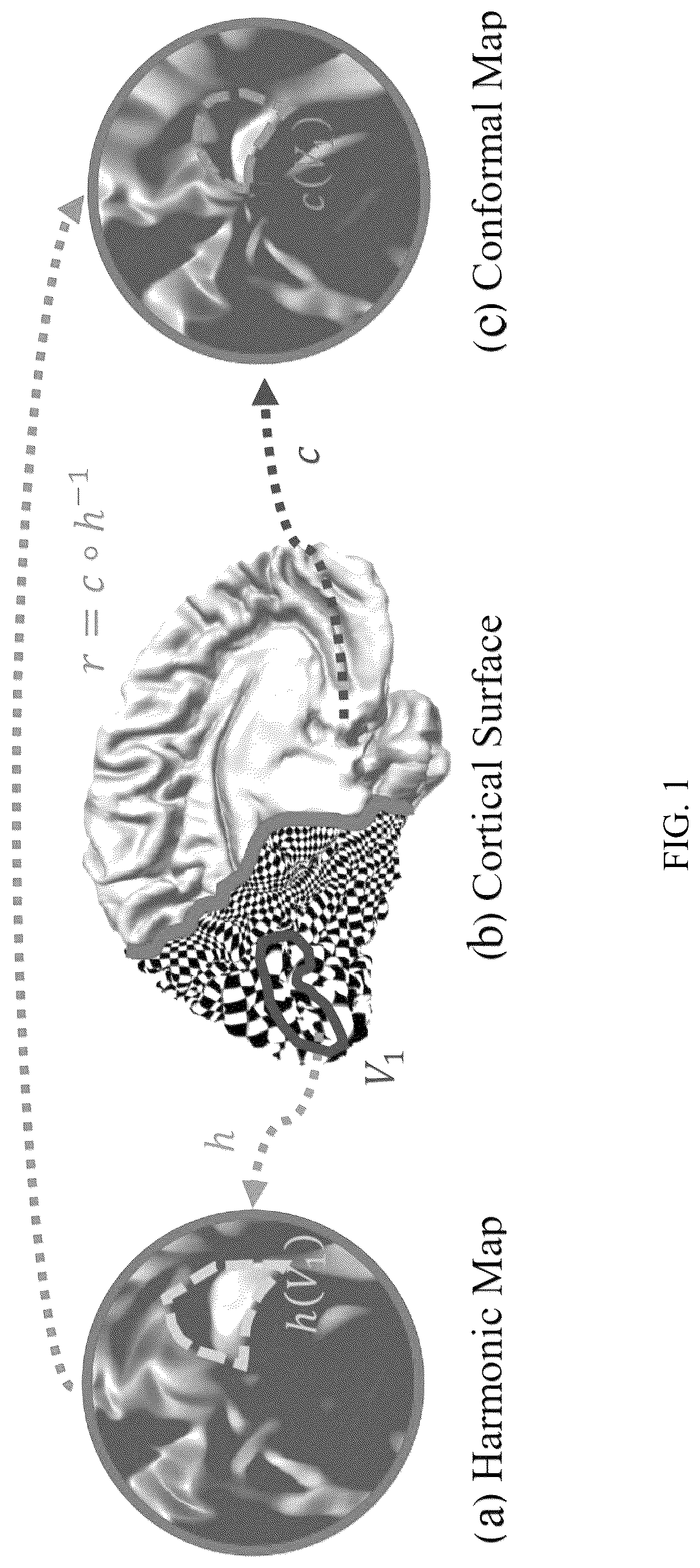 Patent US12303246 — Methods and systems for precise quantification of human sensory cortical areas — Figure 1