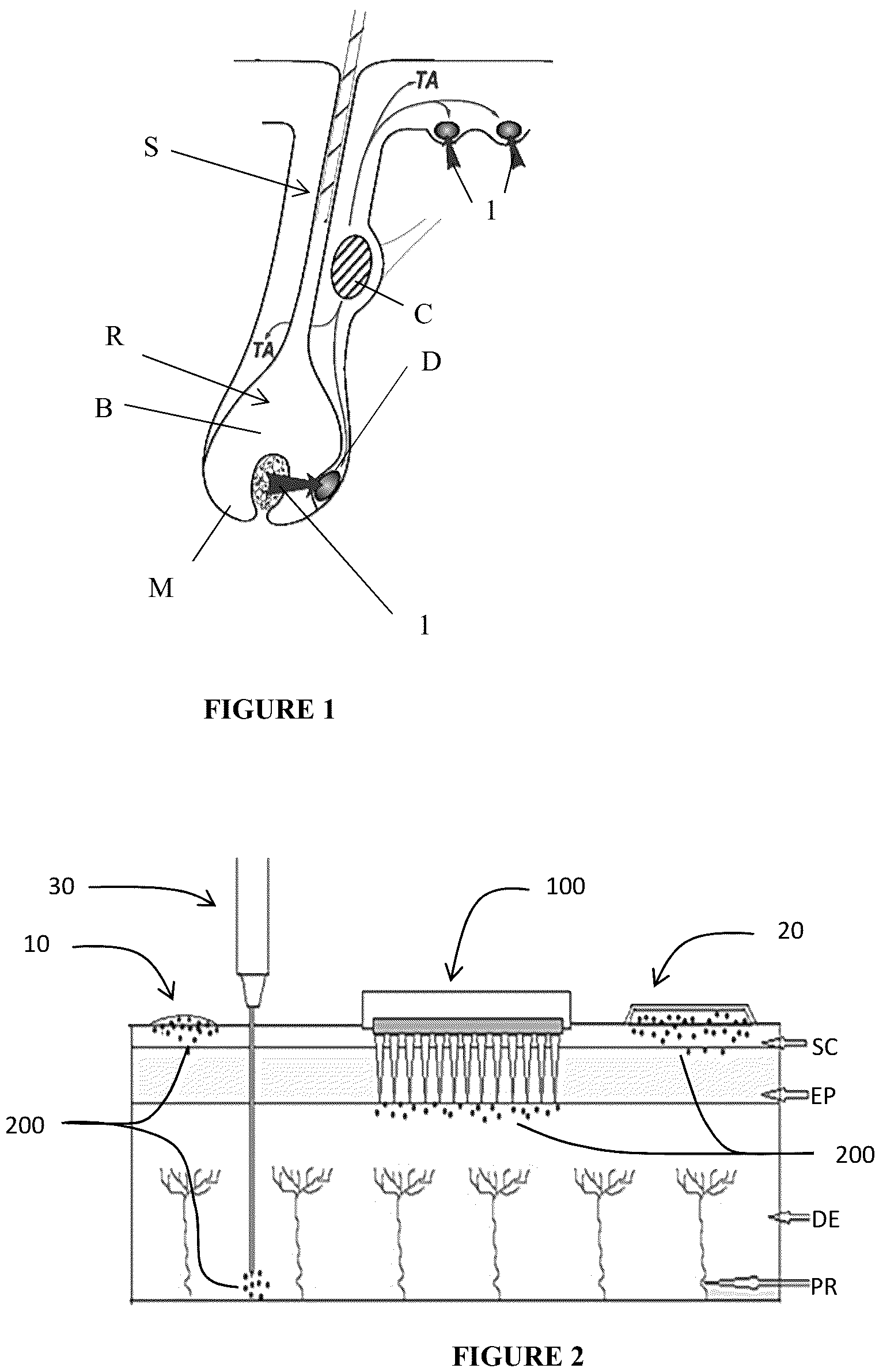 Patent US12303470 Figure 1 – Method and composition for selective treatment of androgen receptors