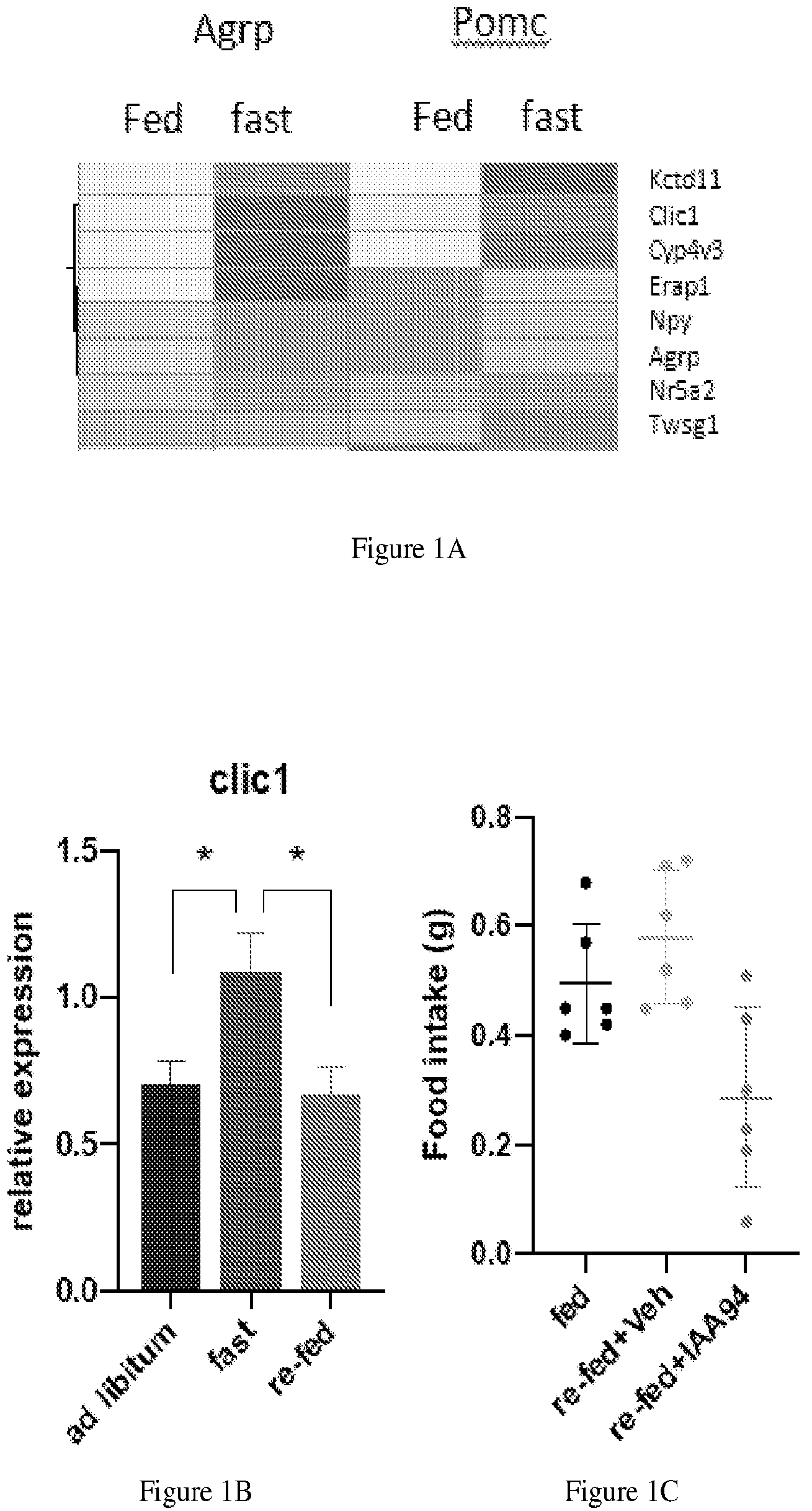 Patent US12303479 Figure 1 – Chloride intracellular channel 1 for regulation of food intake