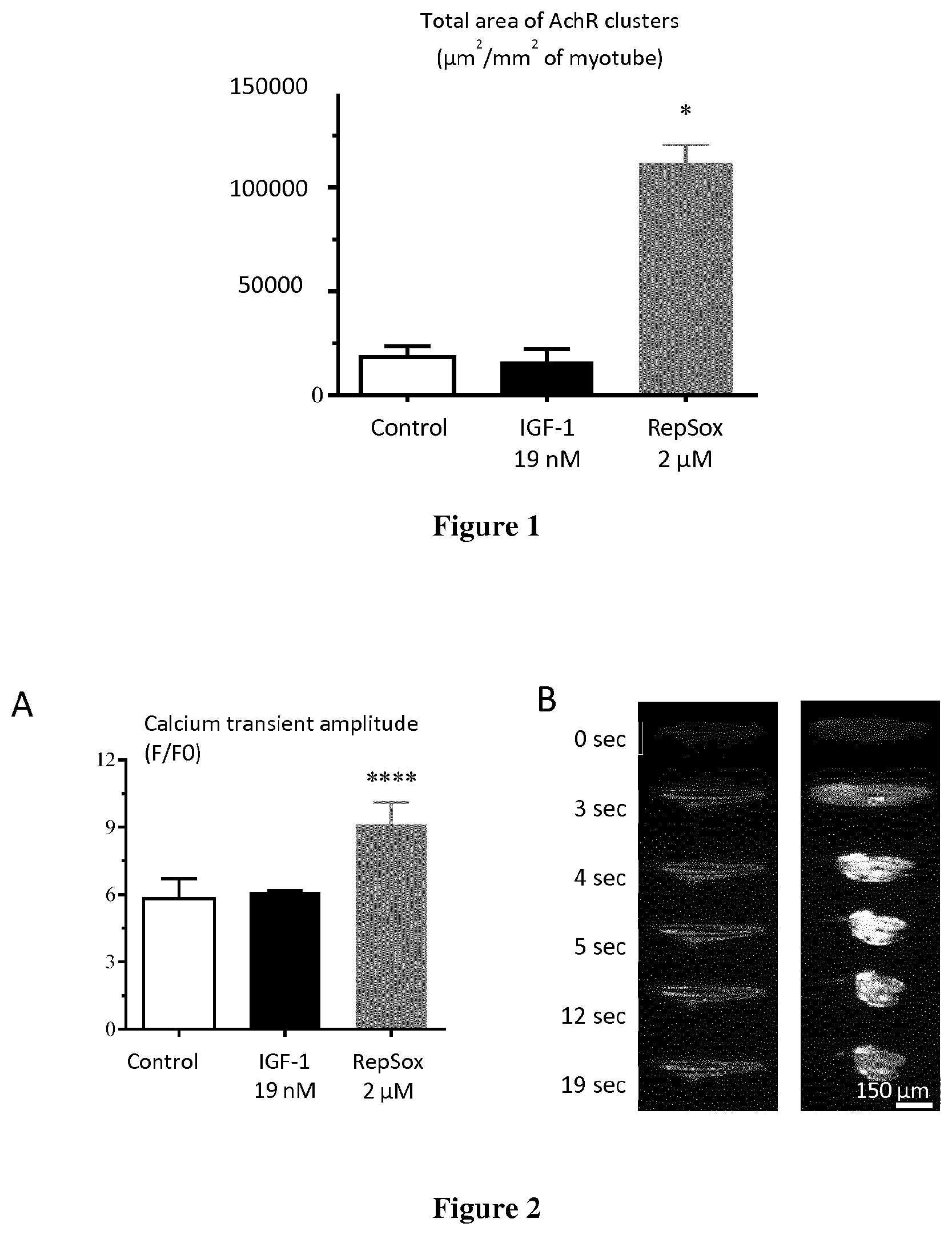 Patent US12303498 — ALK5 inhibitors as skeletal muscle hypertrophy inducers — Figure 1