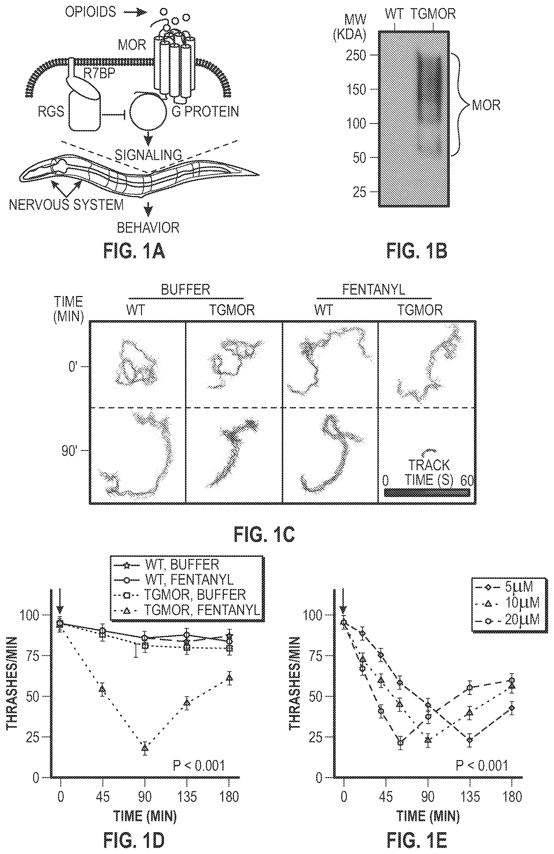 Patent US12303511 — Methods related to opioid therapeutics — Figure 1