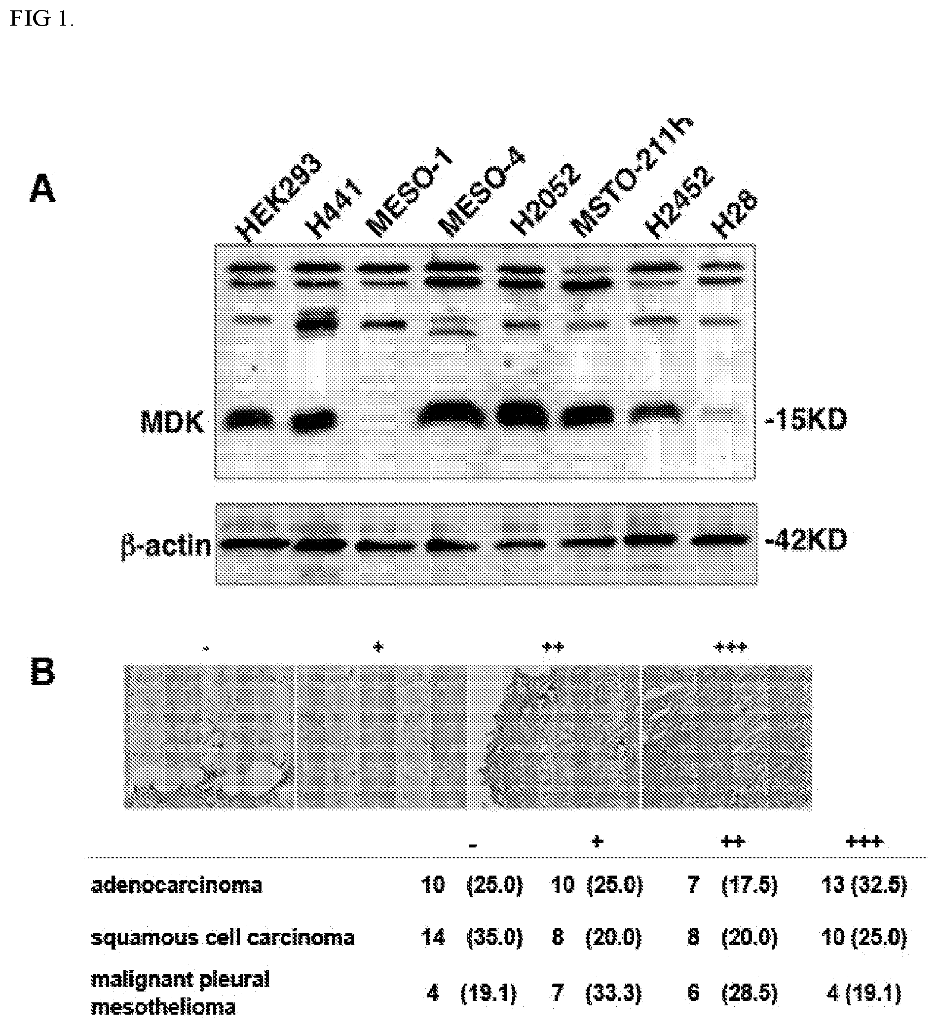 Patent US12303513 — Methods and compositions to treat cancer — Figure 1
