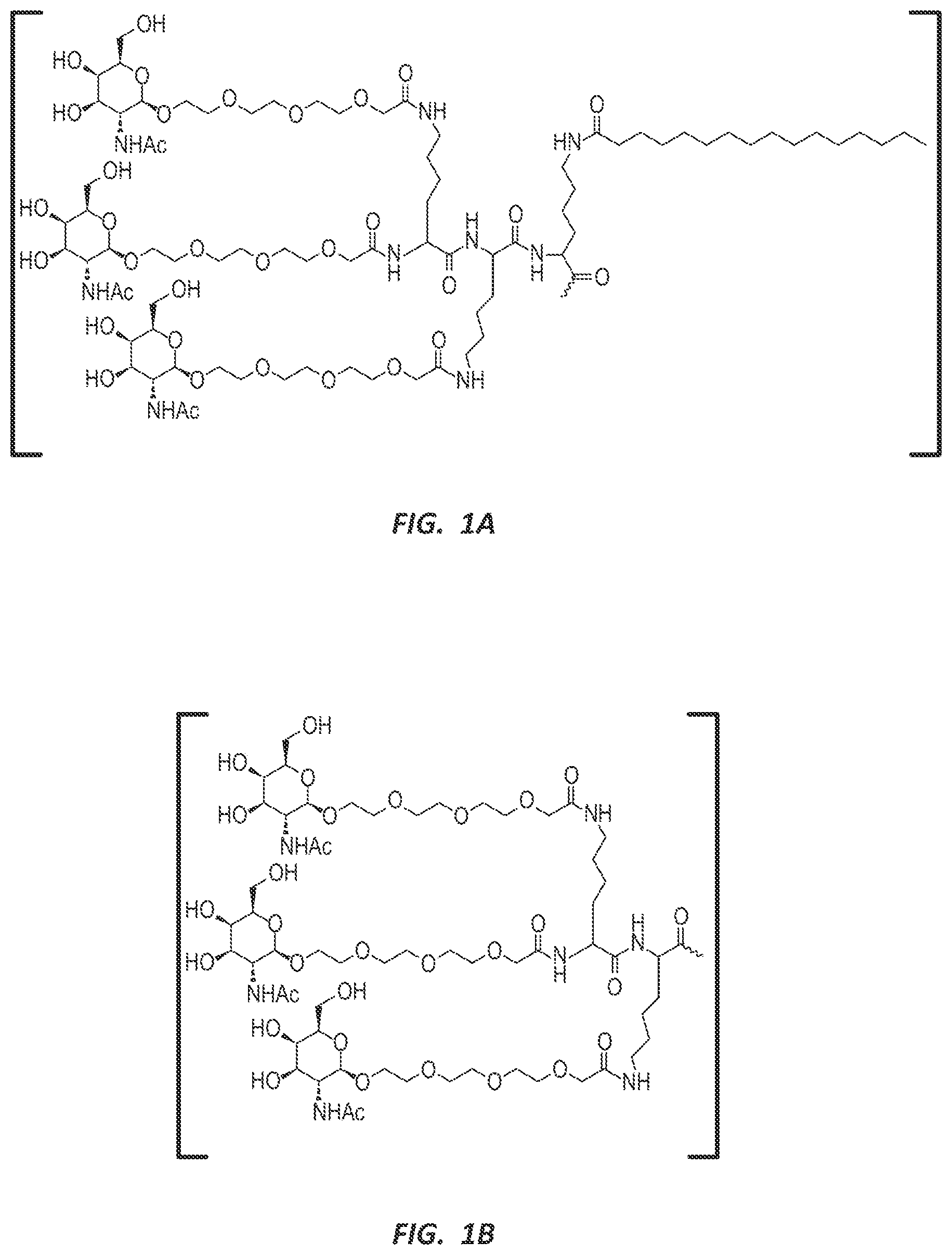 Patent US12303525 — Nucleic acid molecule for reduction of PAPD5 and PAPD7 mRNA for treating hepatitis B infection — Figure 1