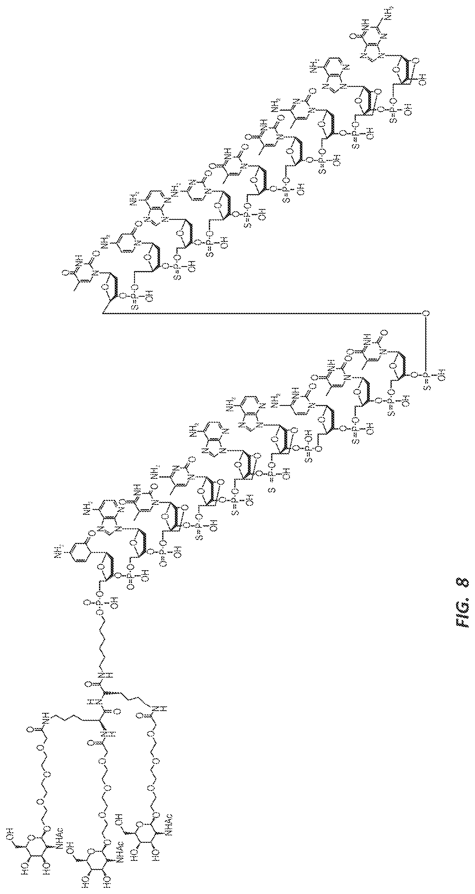 Patent US12303525 Figure 11 – Nucleic acid molecule for reduction of PAPD5 and PAPD7 mRNA for treating hepatitis B infection