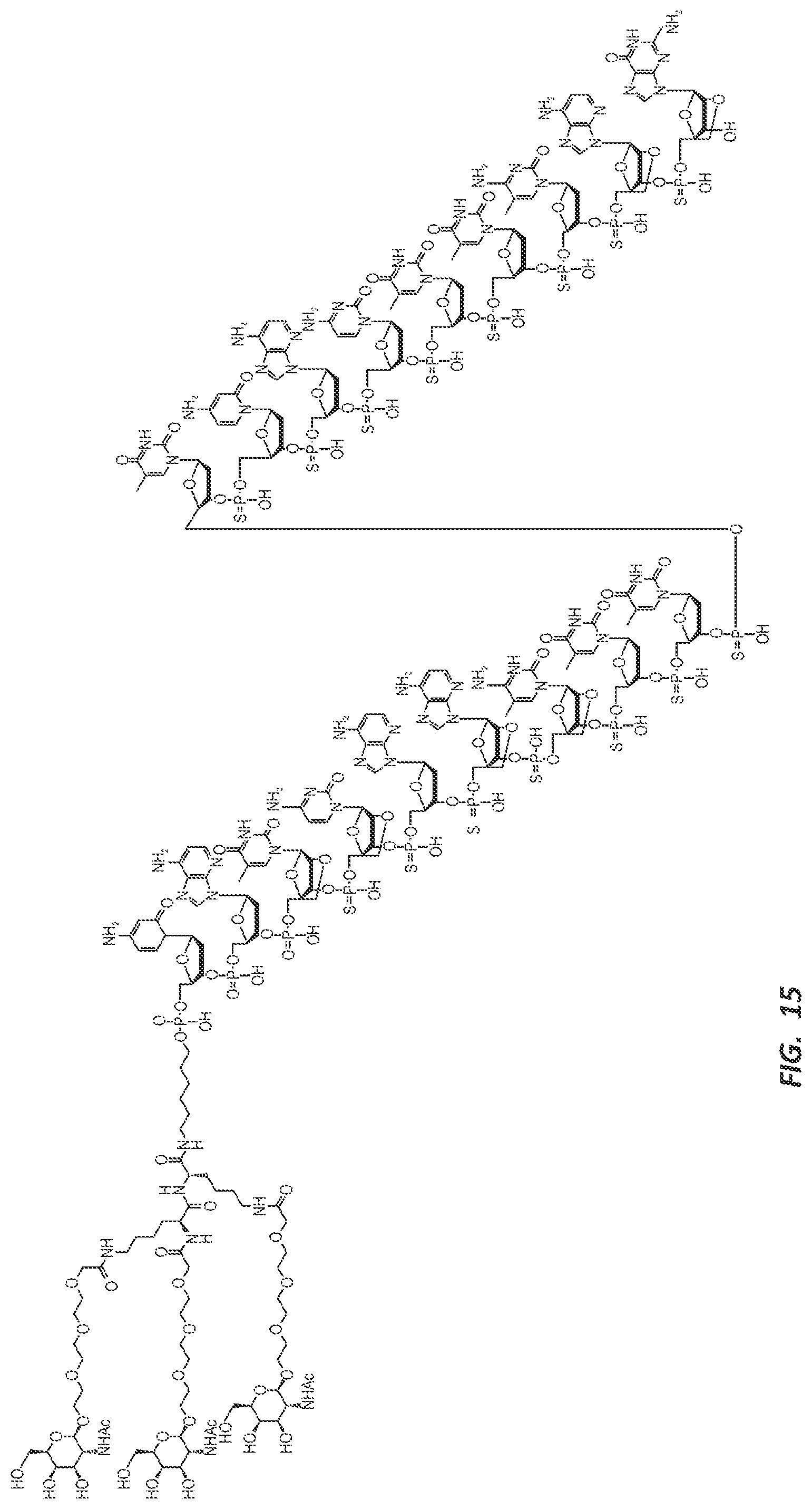 Patent US12303525 Figure 18 – Nucleic acid molecule for reduction of PAPD5 and PAPD7 mRNA for treating hepatitis B infection