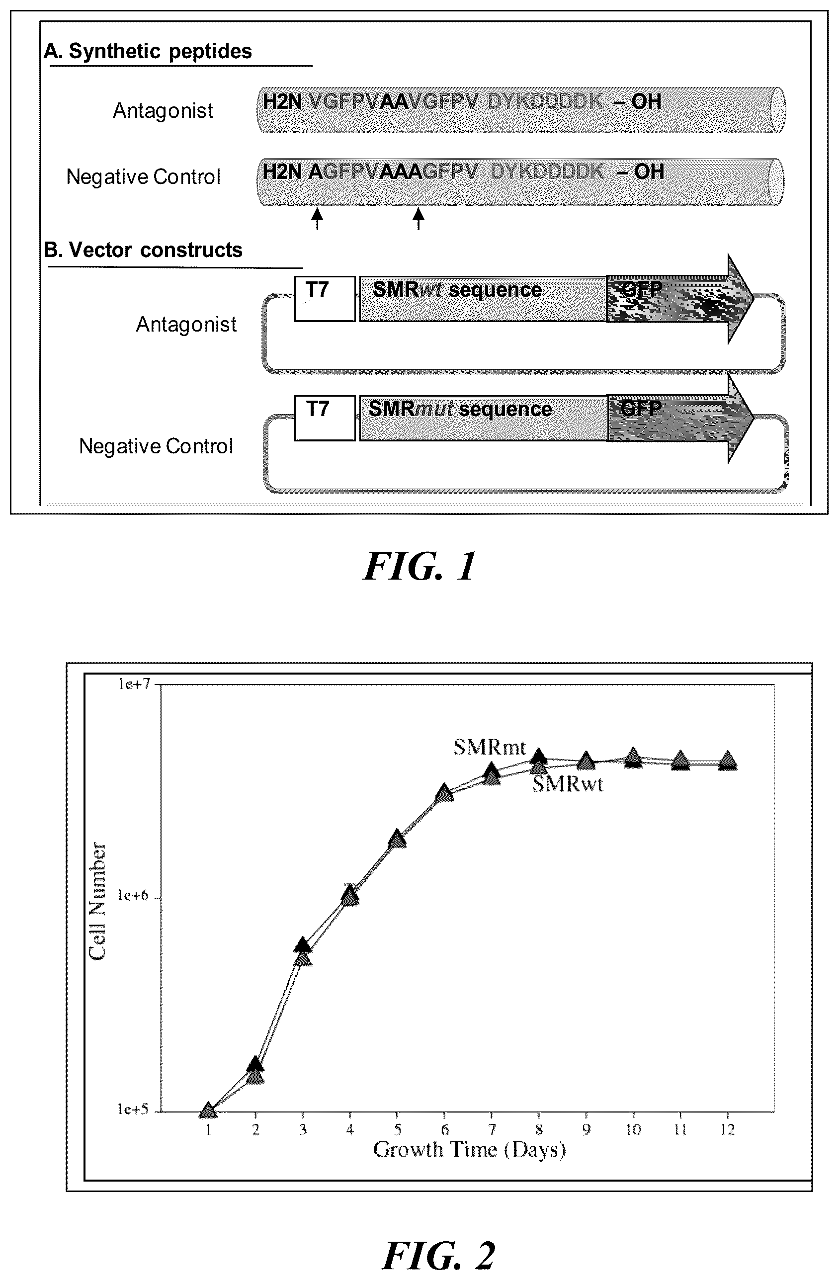 Patent US12303546 — Antimicrobial compositions and methods of use thereof — Figure 1