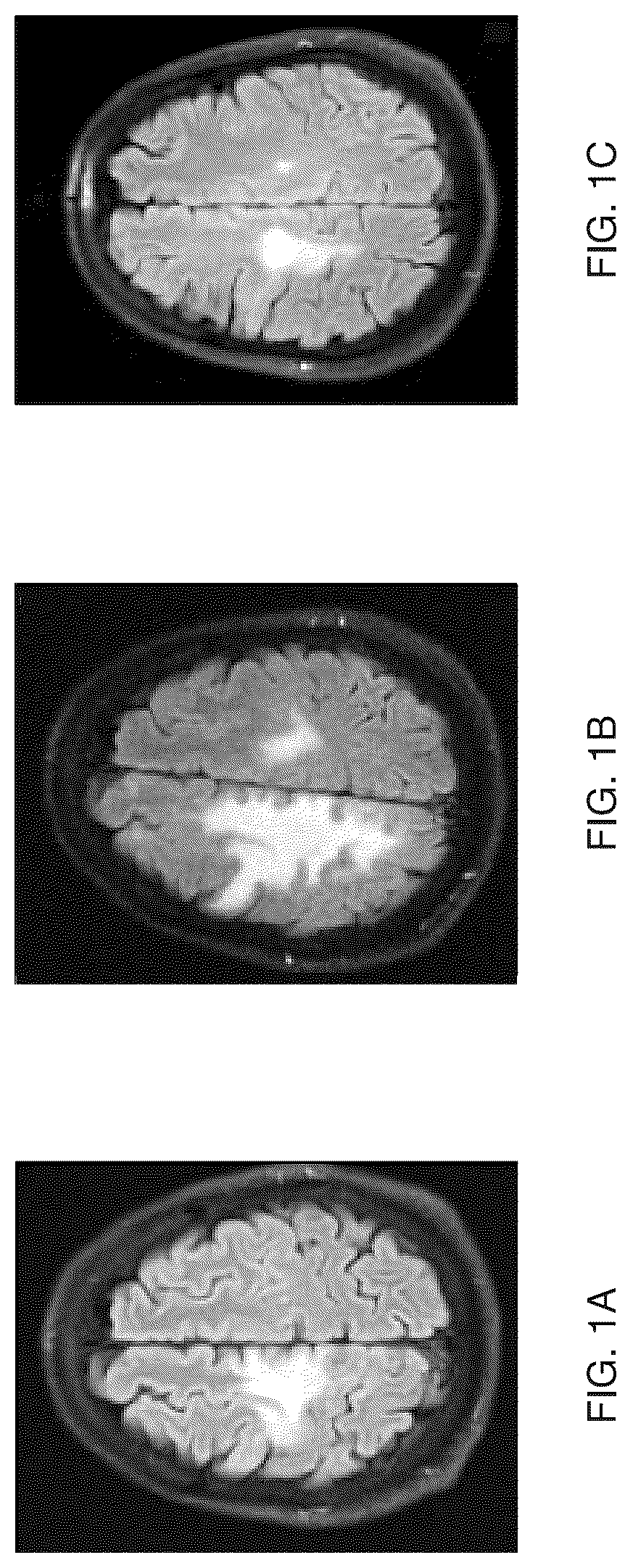 Patent US12303552 — Treatment of immunosuppressed subjects — Figure 1