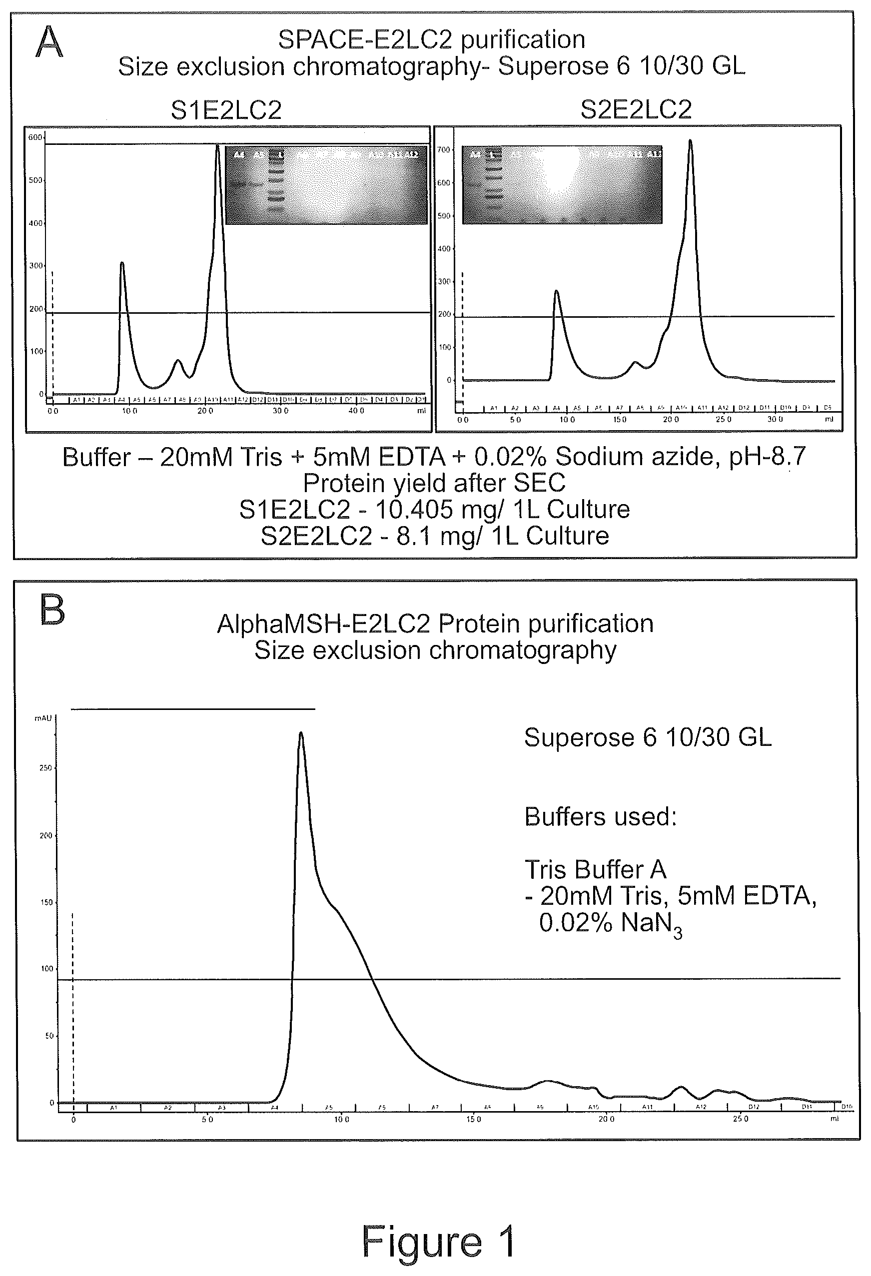 Patent US12303555 — Targeting of melanocytes for delivering therapeutic or diagnostic agents using protein nanocages — Figure 1