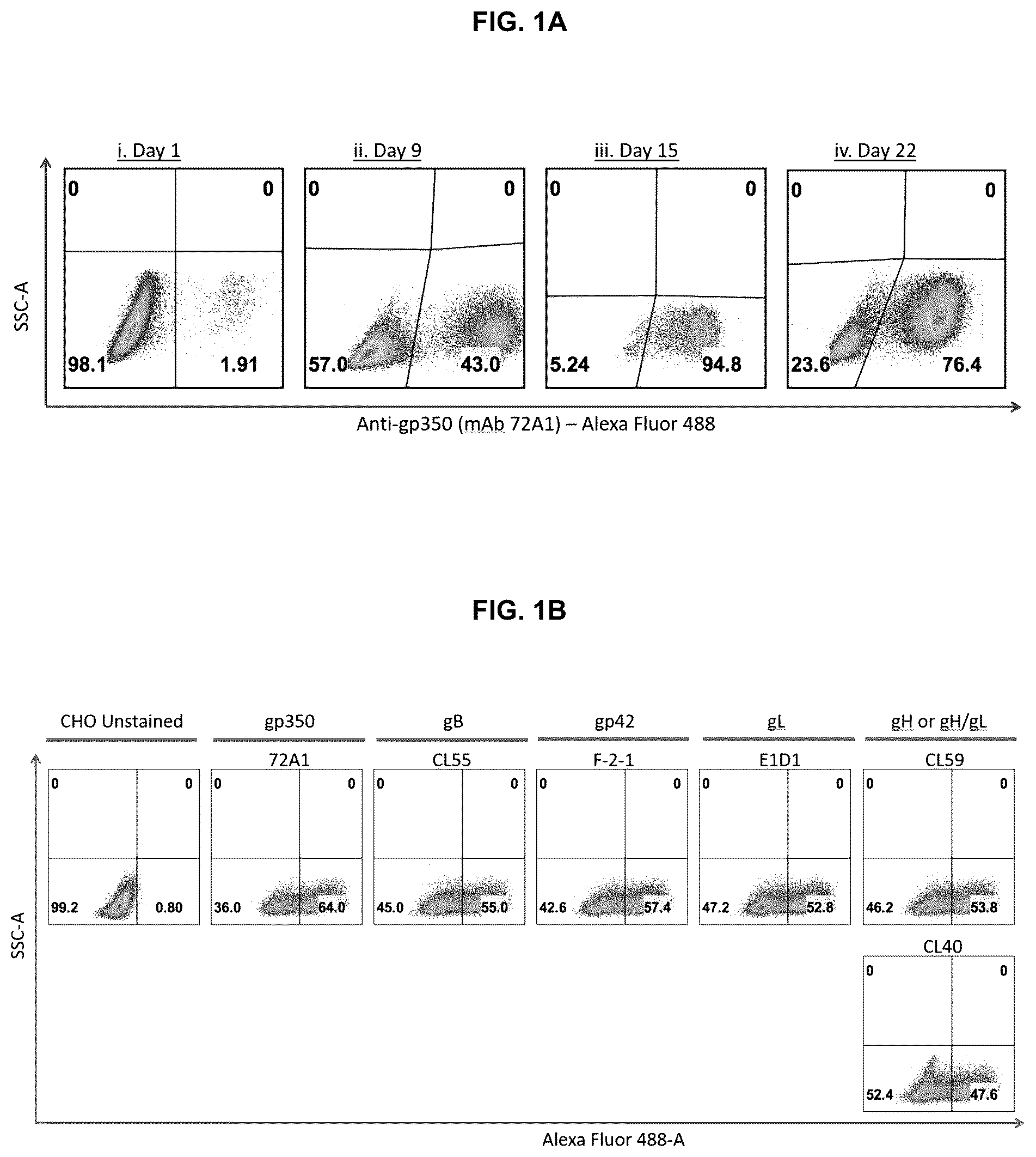 Patent US12303559 — Multivalent Epstein-Barr virus-like particles and uses thereof — Figure 1