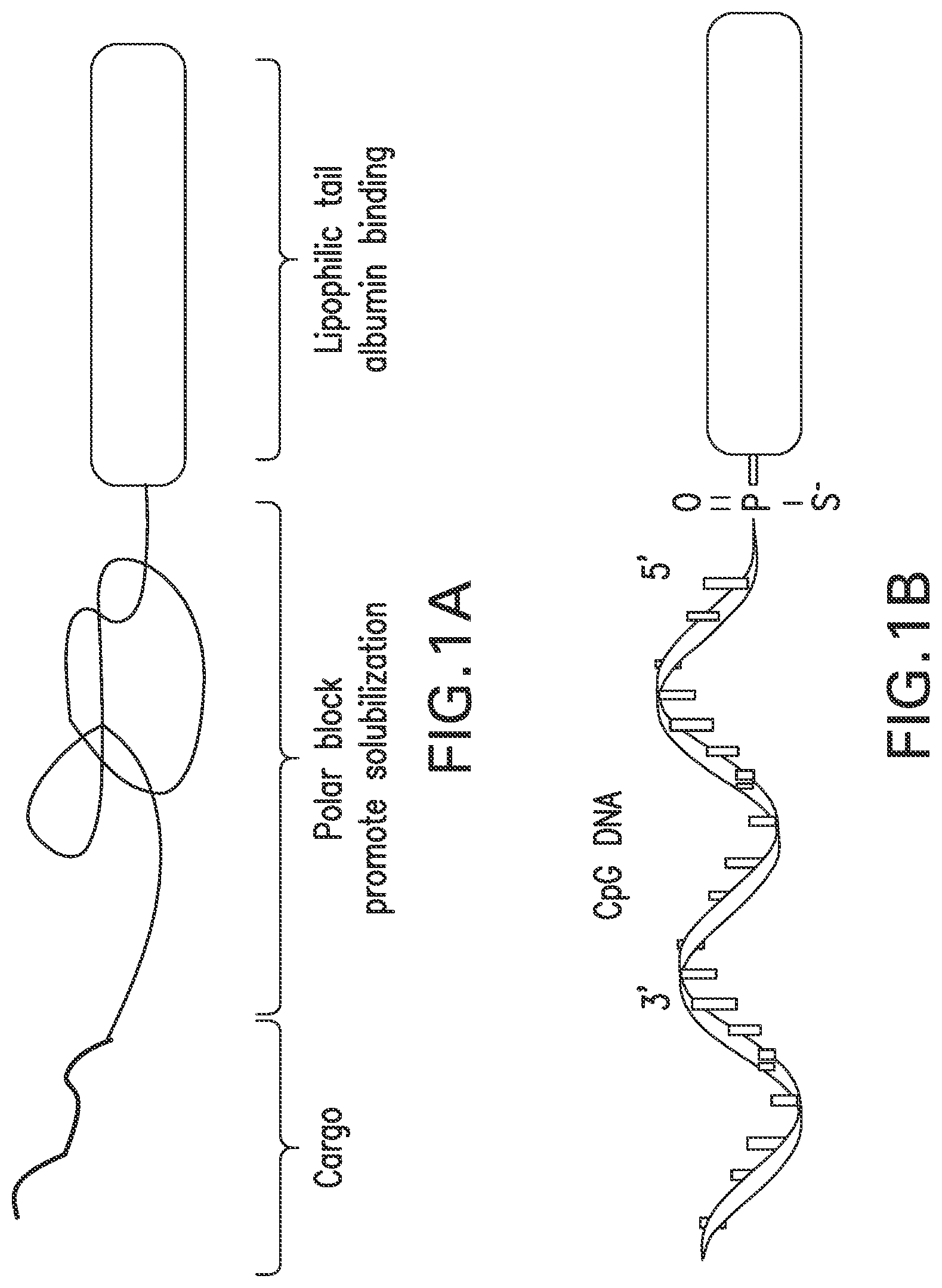Patent US12303566 — Immunostimulatory compositions and methods of use thereof — Figure 1