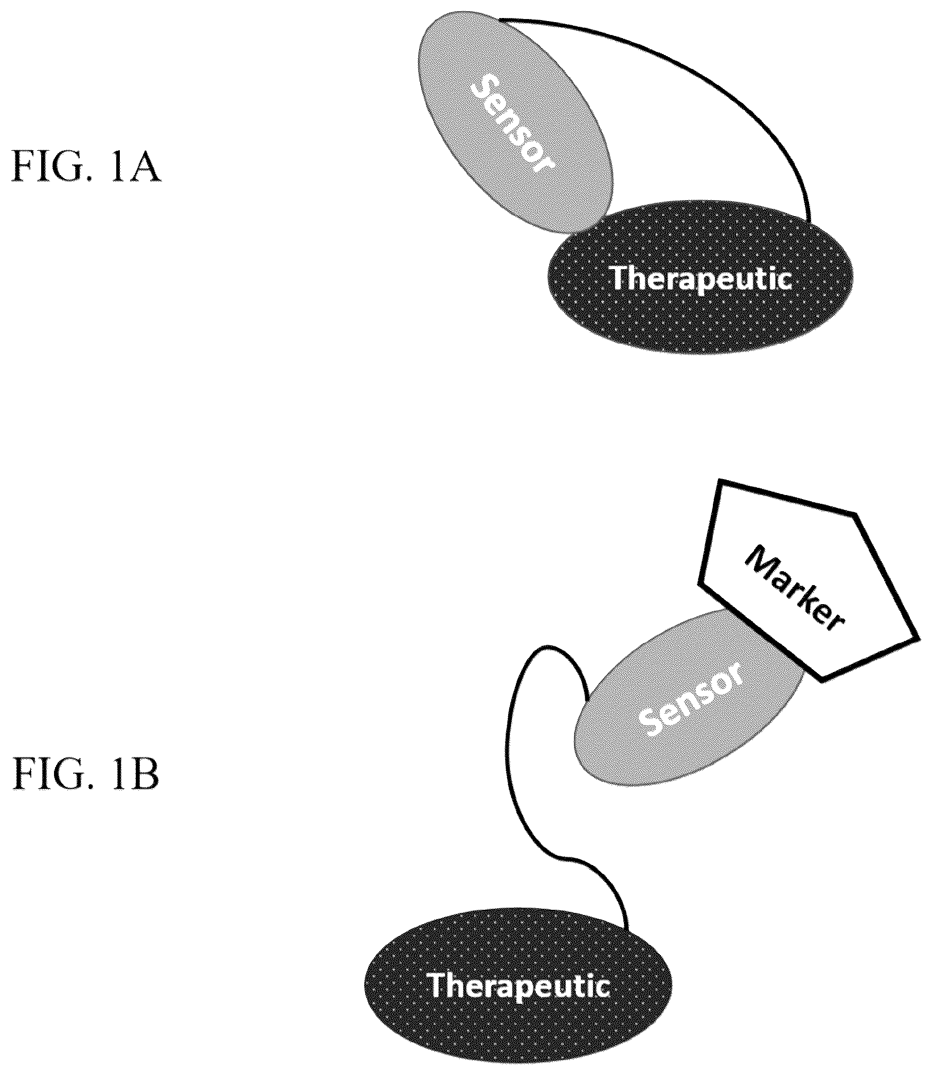 Patent US12303567 — Compositions of protein complexes and methods of use thereof — Figure 1