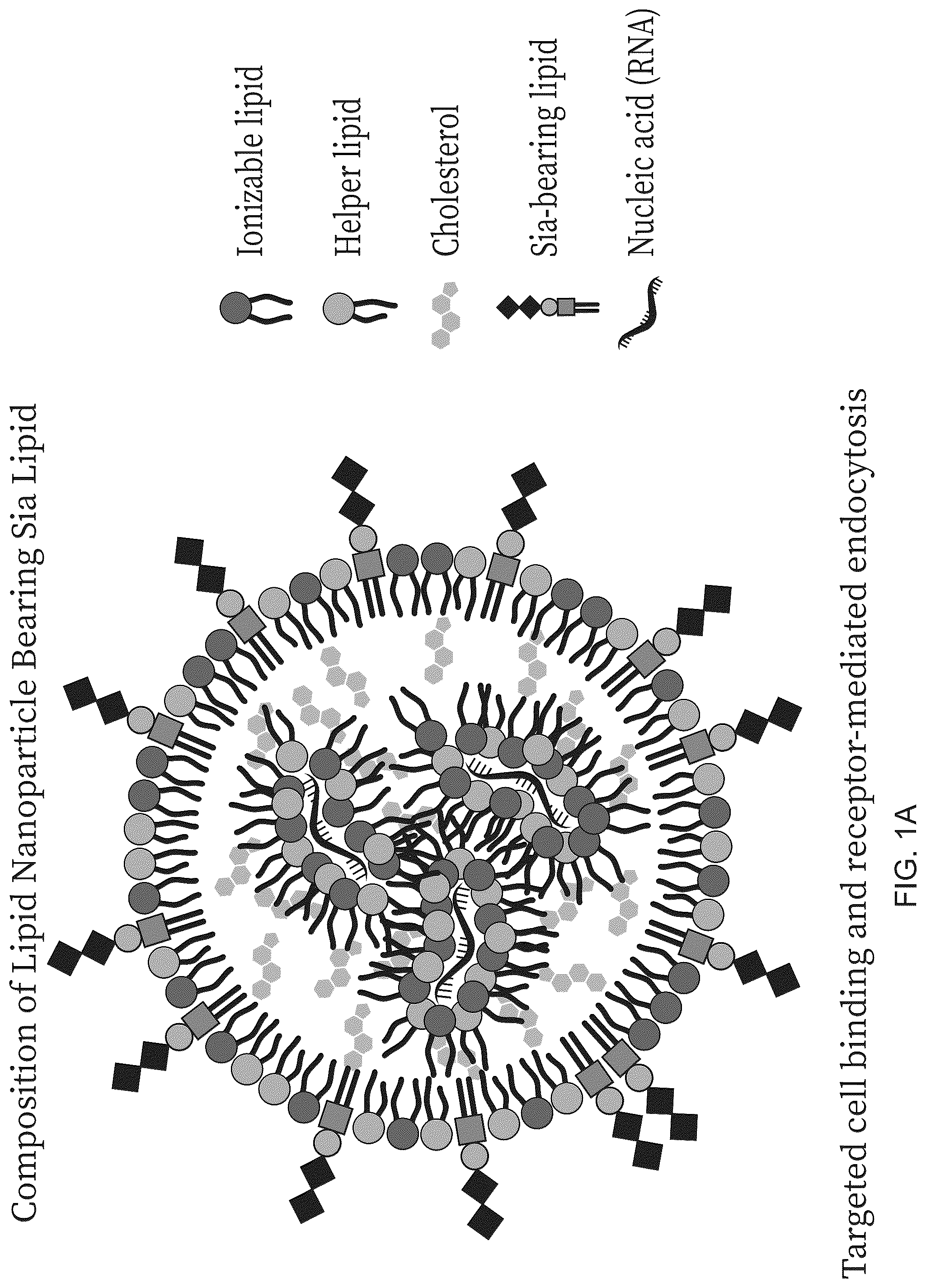 Patent US12303569 Figure 1 – Lipid nanoparticle compositions and uses thereof