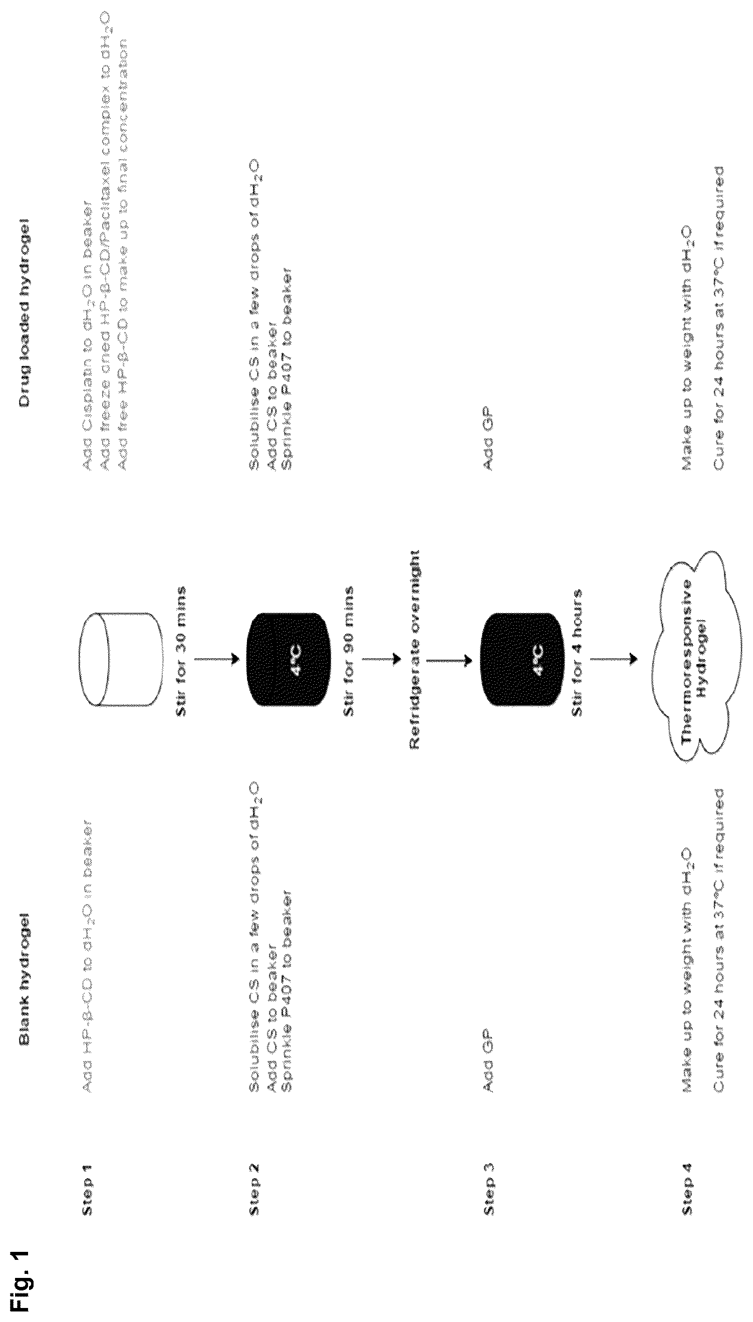 Patent US12303596 — Thermo-responsive hydrogel for intratumoral administration as a treatment in solid tumor cancers — Figure 1