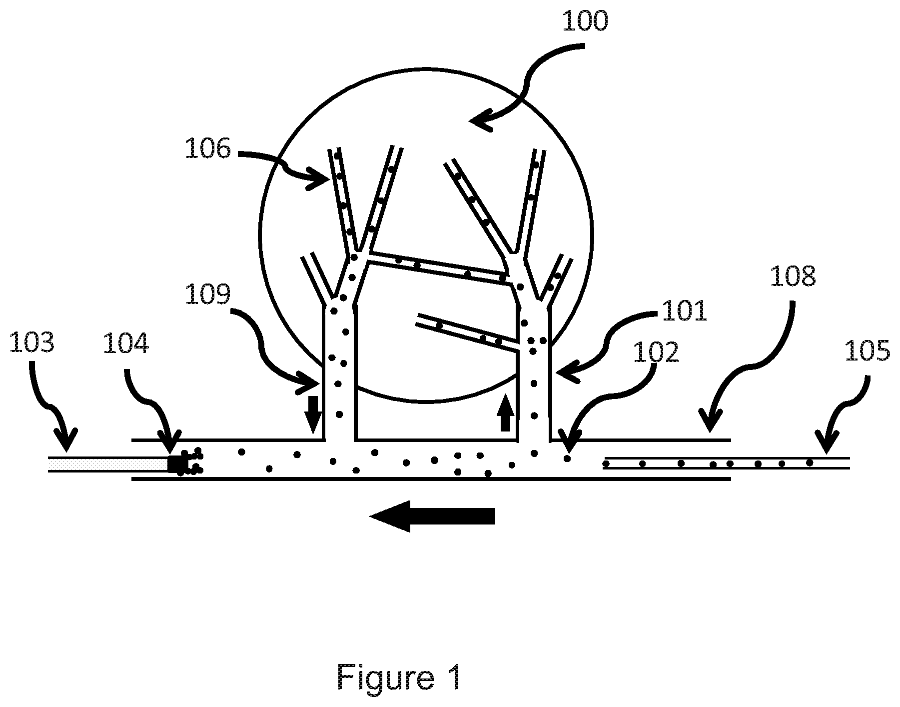 Patent US12303600 Figure 1 – Magnetic assisted drug delivery