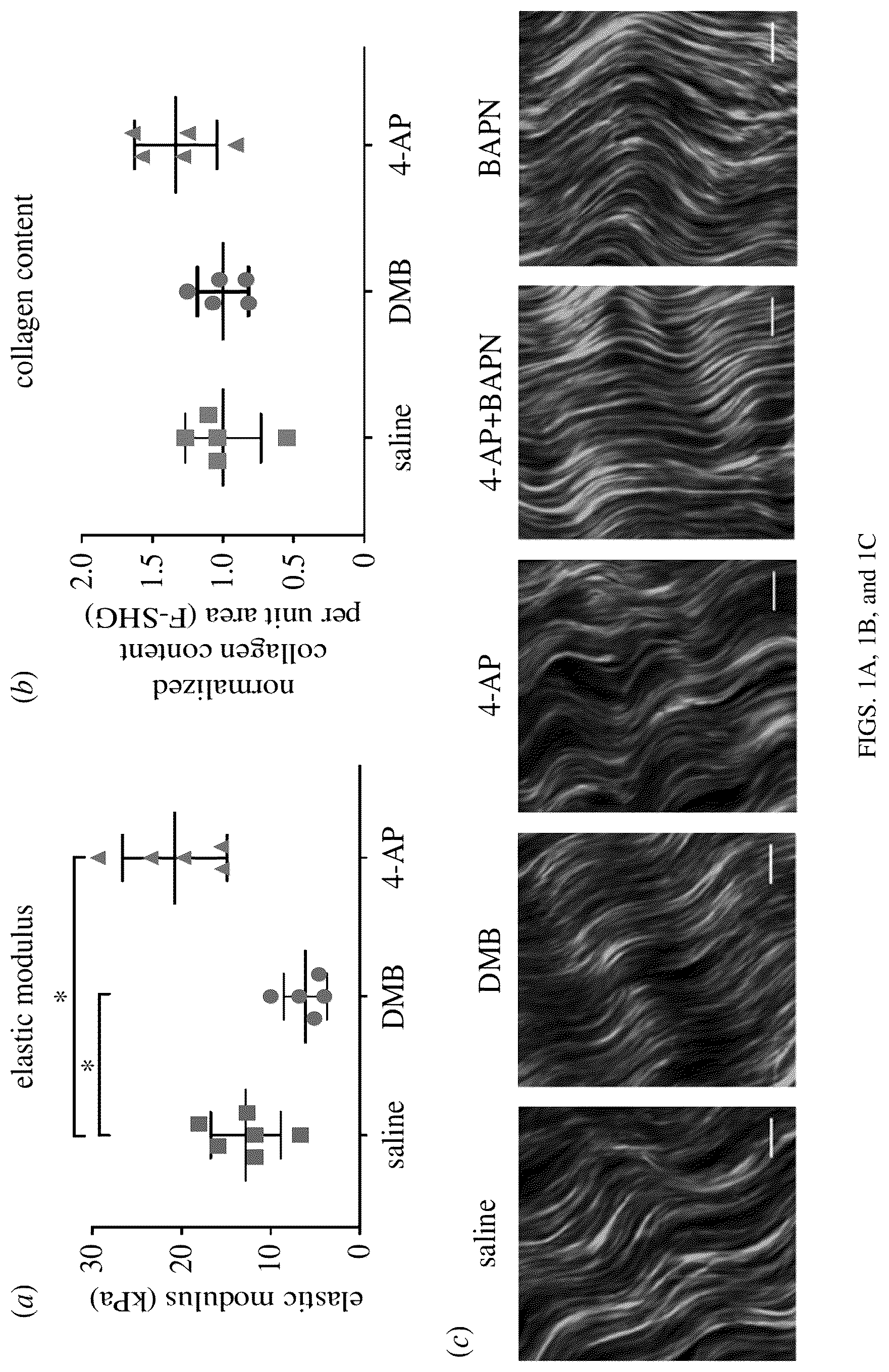Patent US12303614 — Compositions and methods for improving mechanical properties of a tissue or for regenerating an injured or diseased tissue — Figure 1