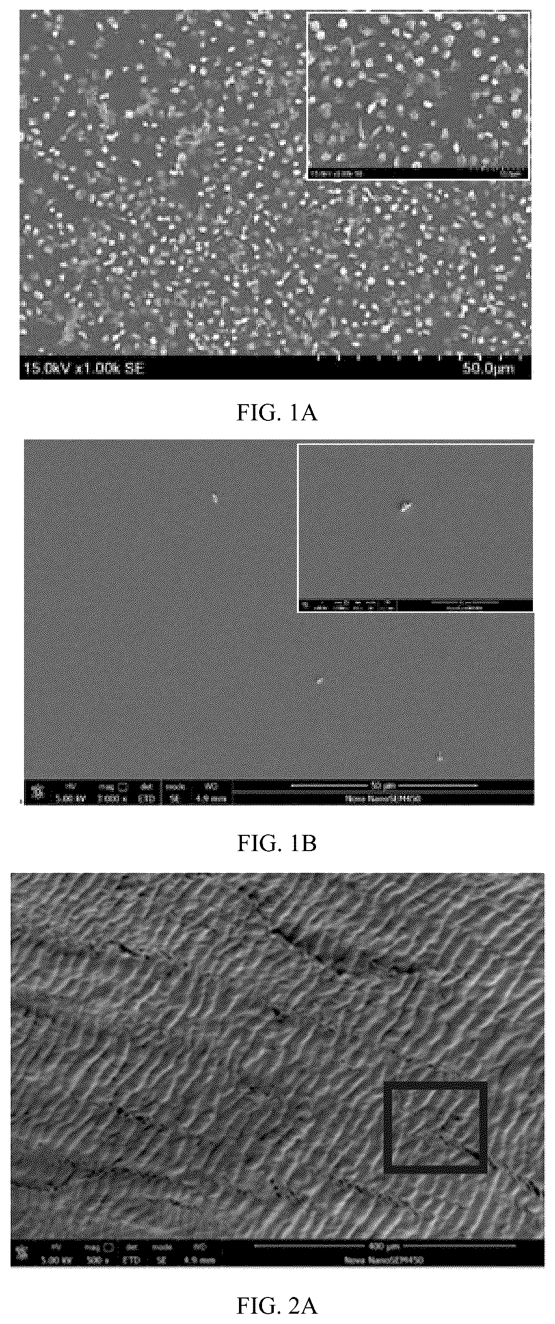 Patent US12303616 Figure 1 – Anti-thrombotic and endothelialization-enhanced bioprosthetic valve material and preparation method thereof