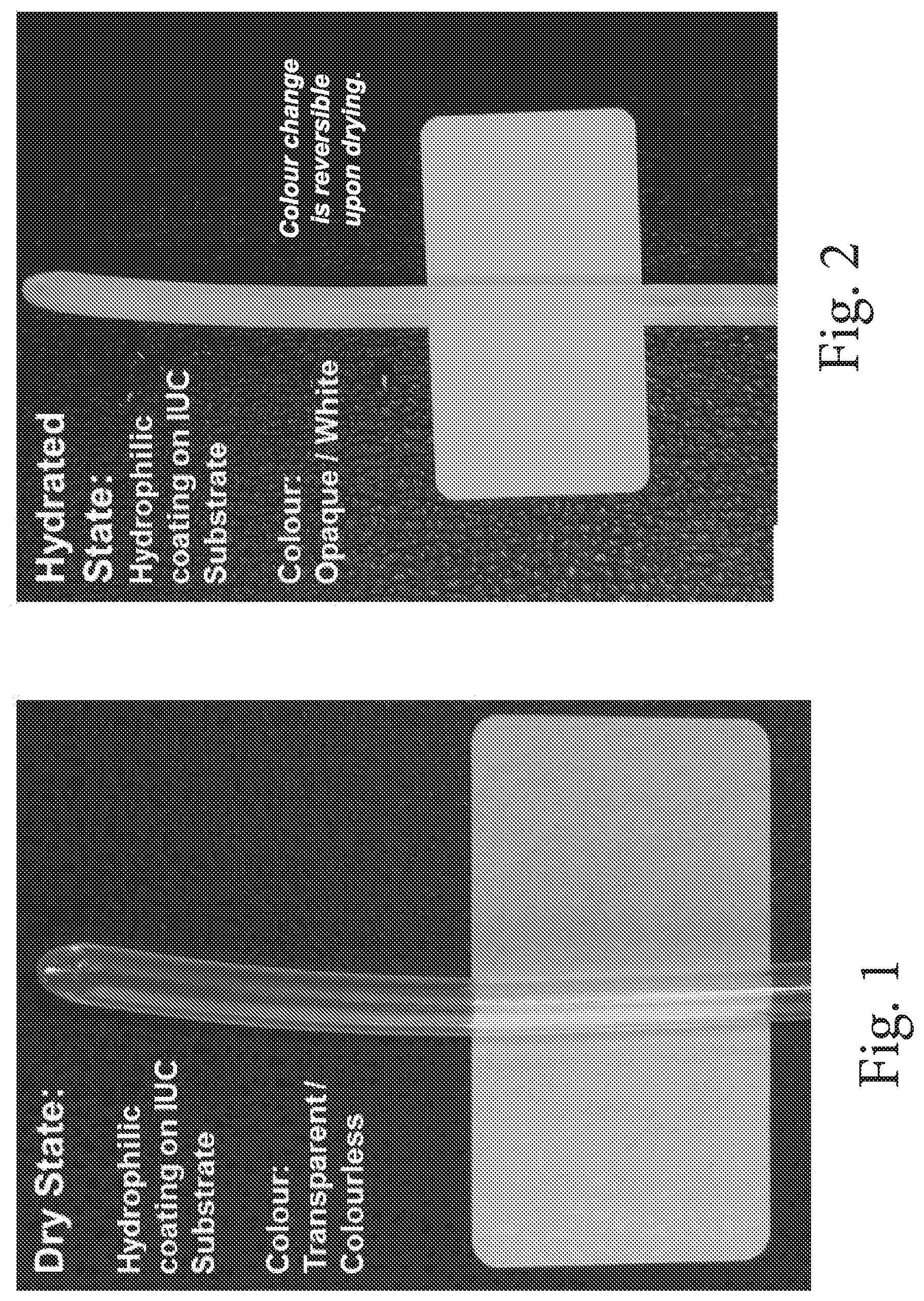 Patent US12303620 — Hydrophilic coatings for medical devices — Figure 1