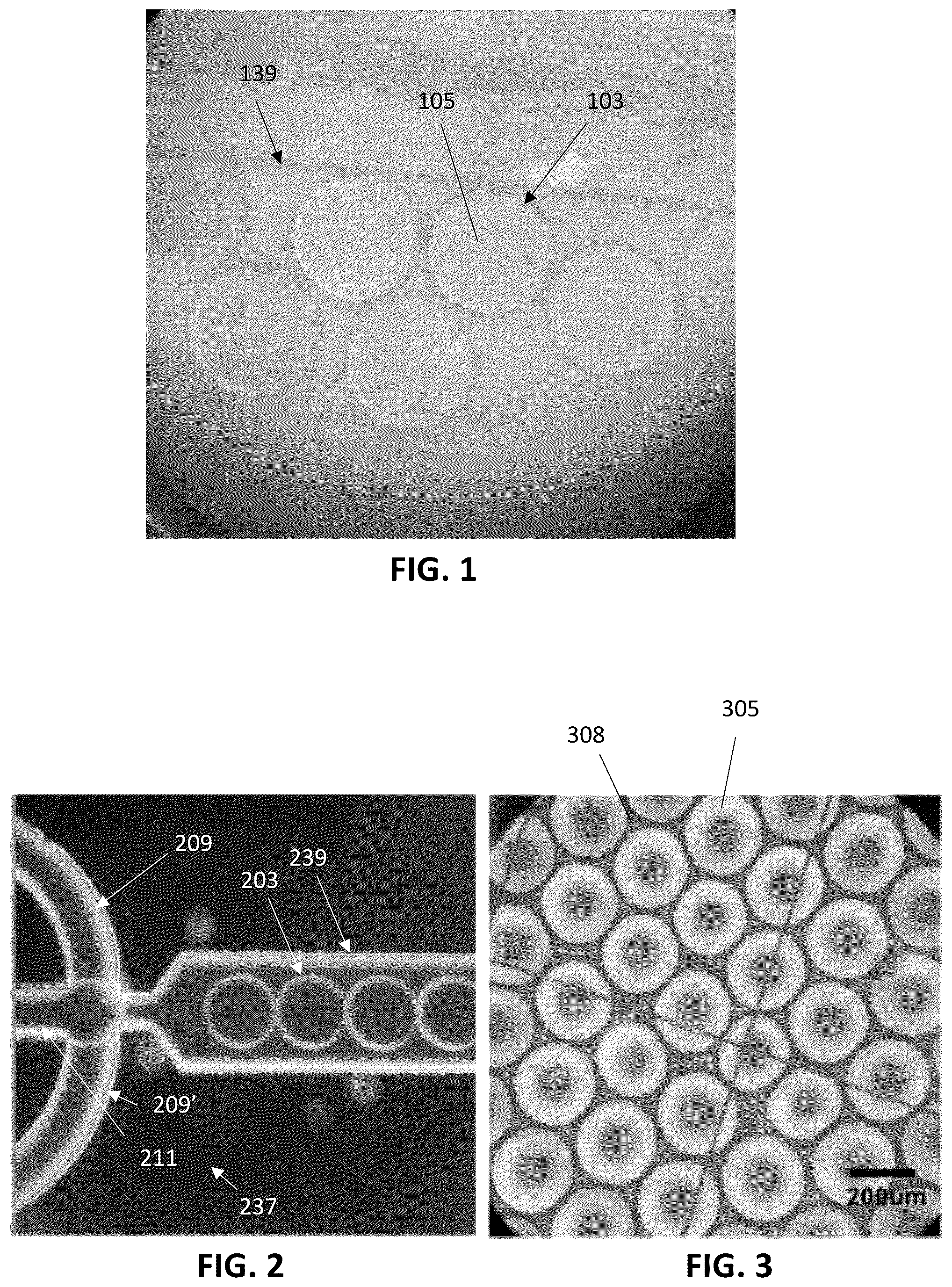 Patent US12303806 — Apparatuses for purification of gel droplets supporting biological tissue — Figure 1
