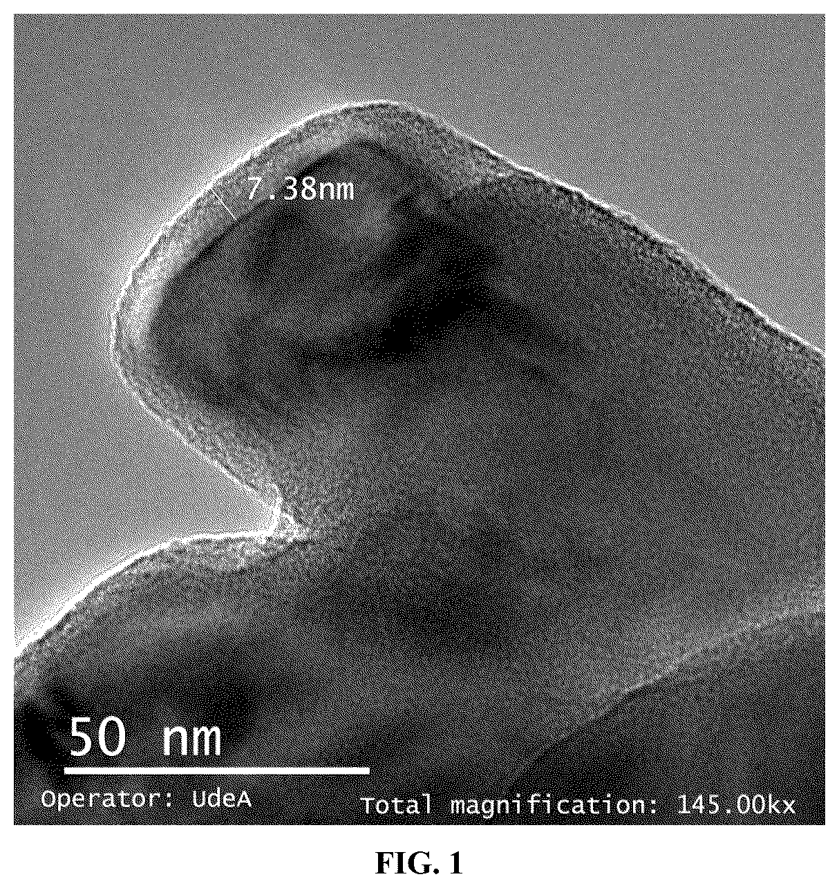 Patent US12303854 — Method for coating insoluble solids — Figure 1
