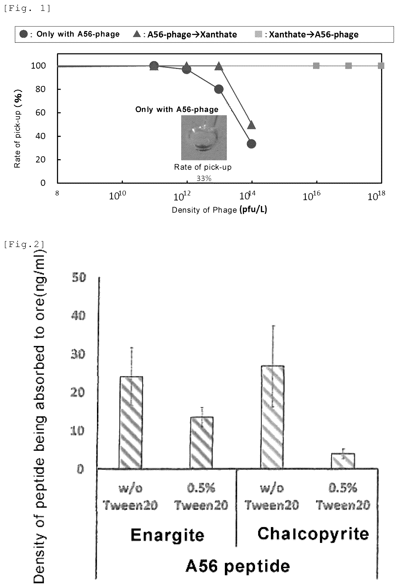Patent US12303916 — Peptide and method for using same — Figure 1