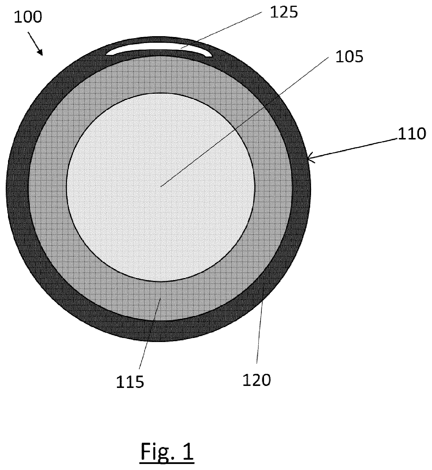 Patent US12304422 — Anti-theft alarm device for wheels / tires of vehicles — Figure 1