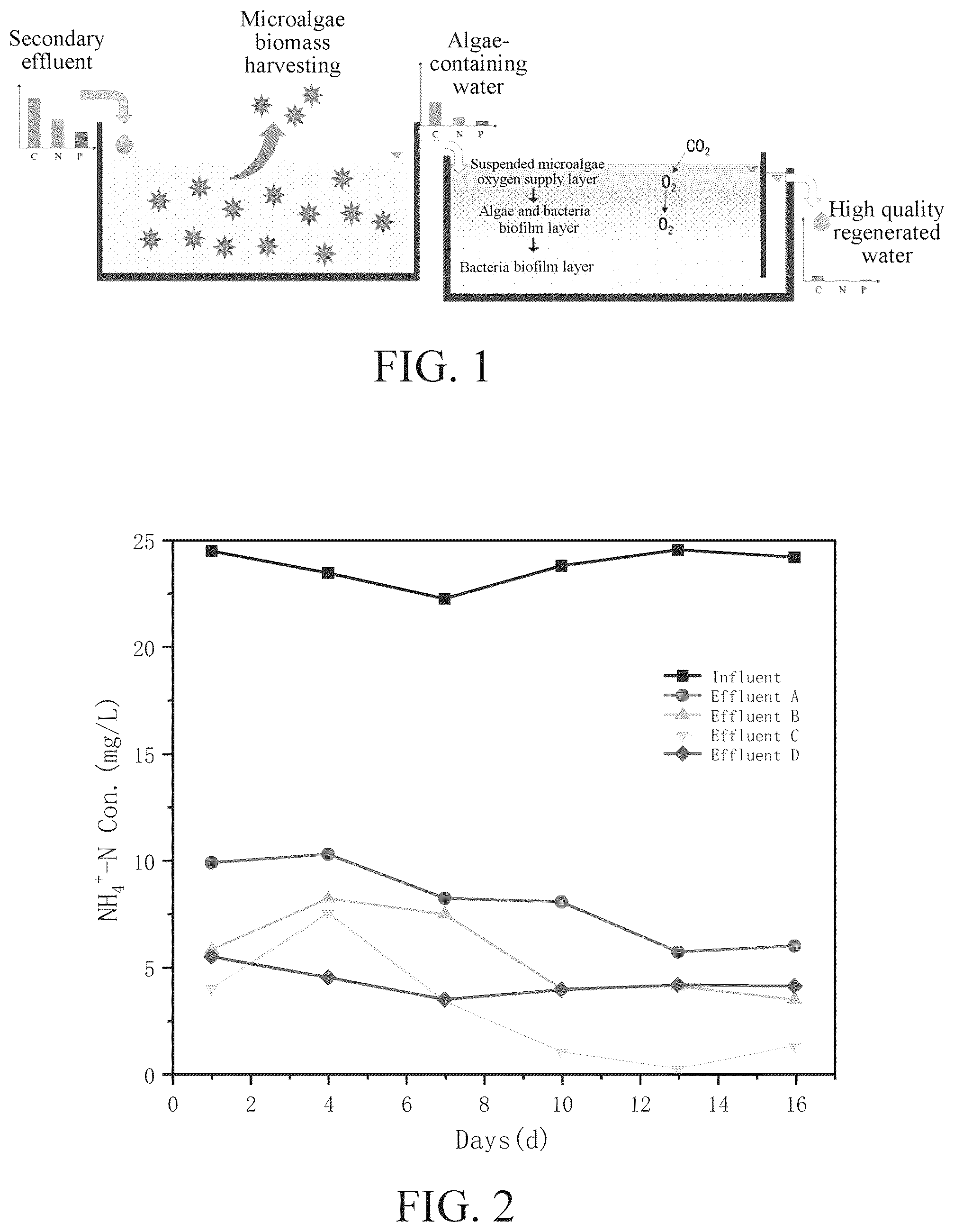 Patent US12304847 Figure 1 – Microalgae culturing pond-constructed wetland coupled system and method for advanced sewage purification