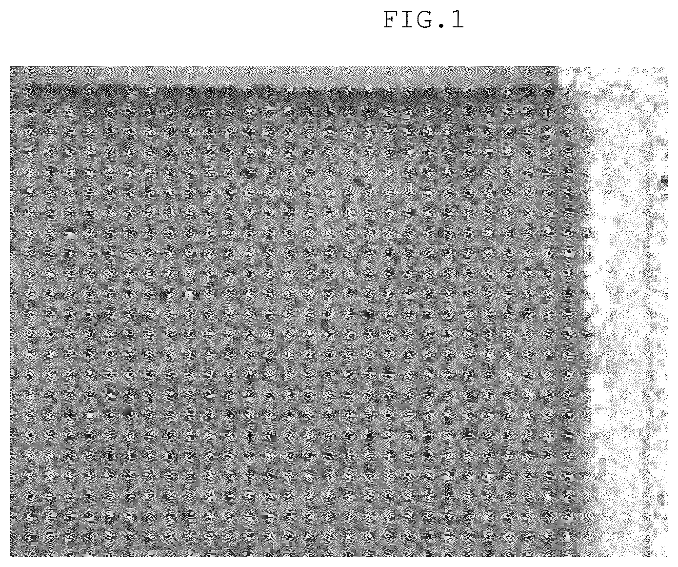 Patent US12304860 Figure 1 – Thick film resistor paste, thick film resistor, and electronic component
