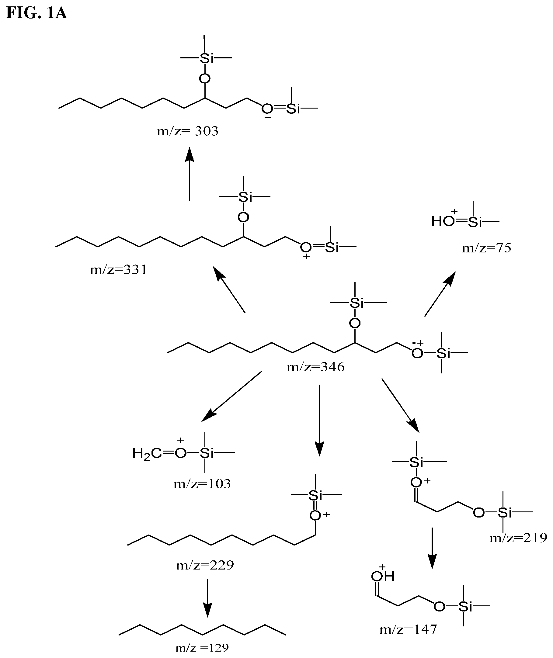 Patent US12304883 — 1,3-fatty diol compounds and derivatives thereof — Figure 1