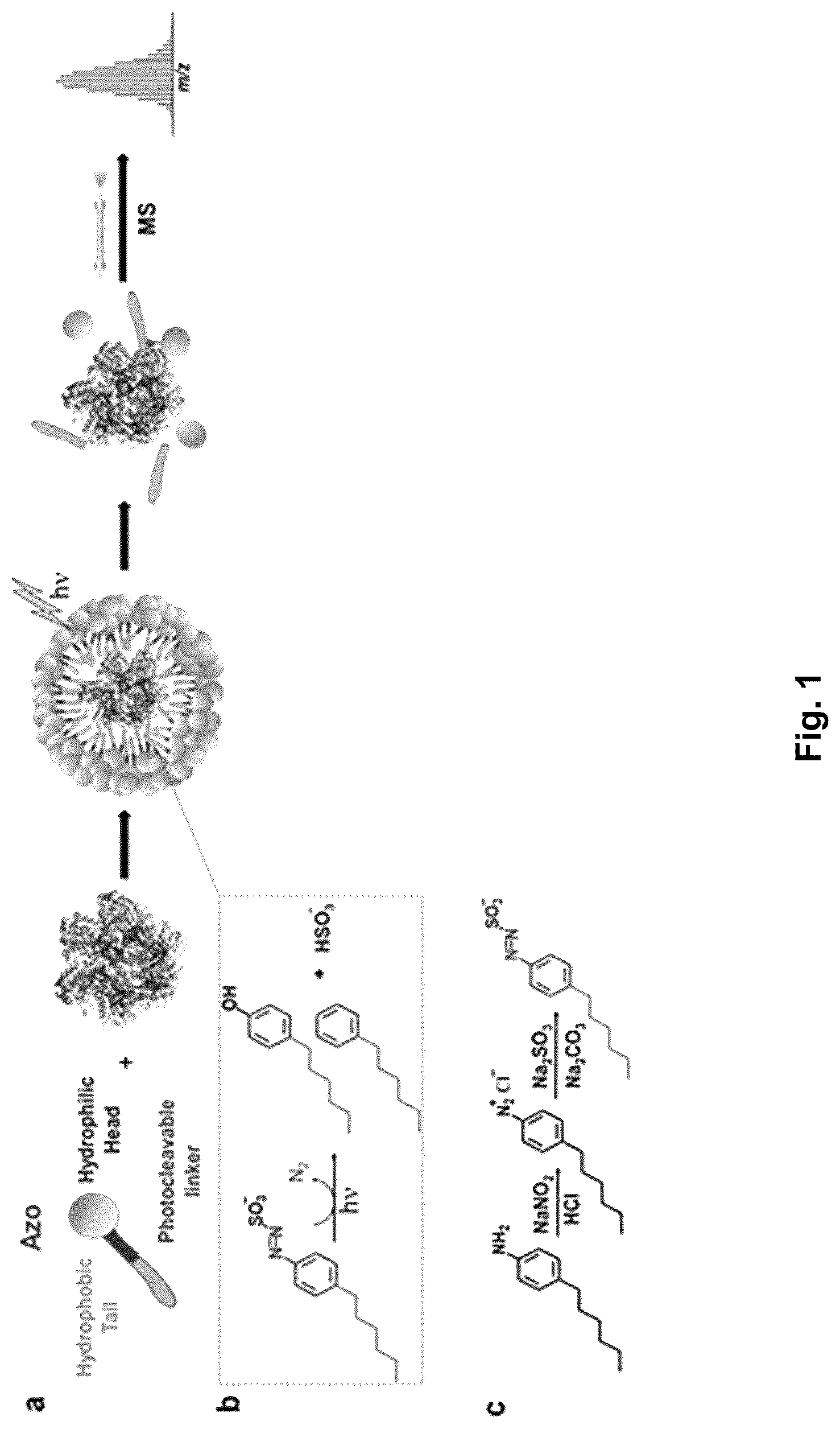 Patent US12304884 — Photo-cleavable surfactants — Figure 1