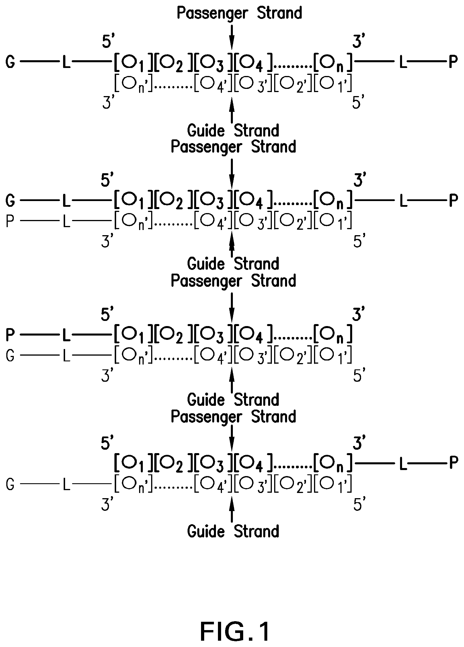 Patent US12304925 — Tetragalnac and peptide containing conjugates and methods for delivery of oligonucleotides — Figure 1
