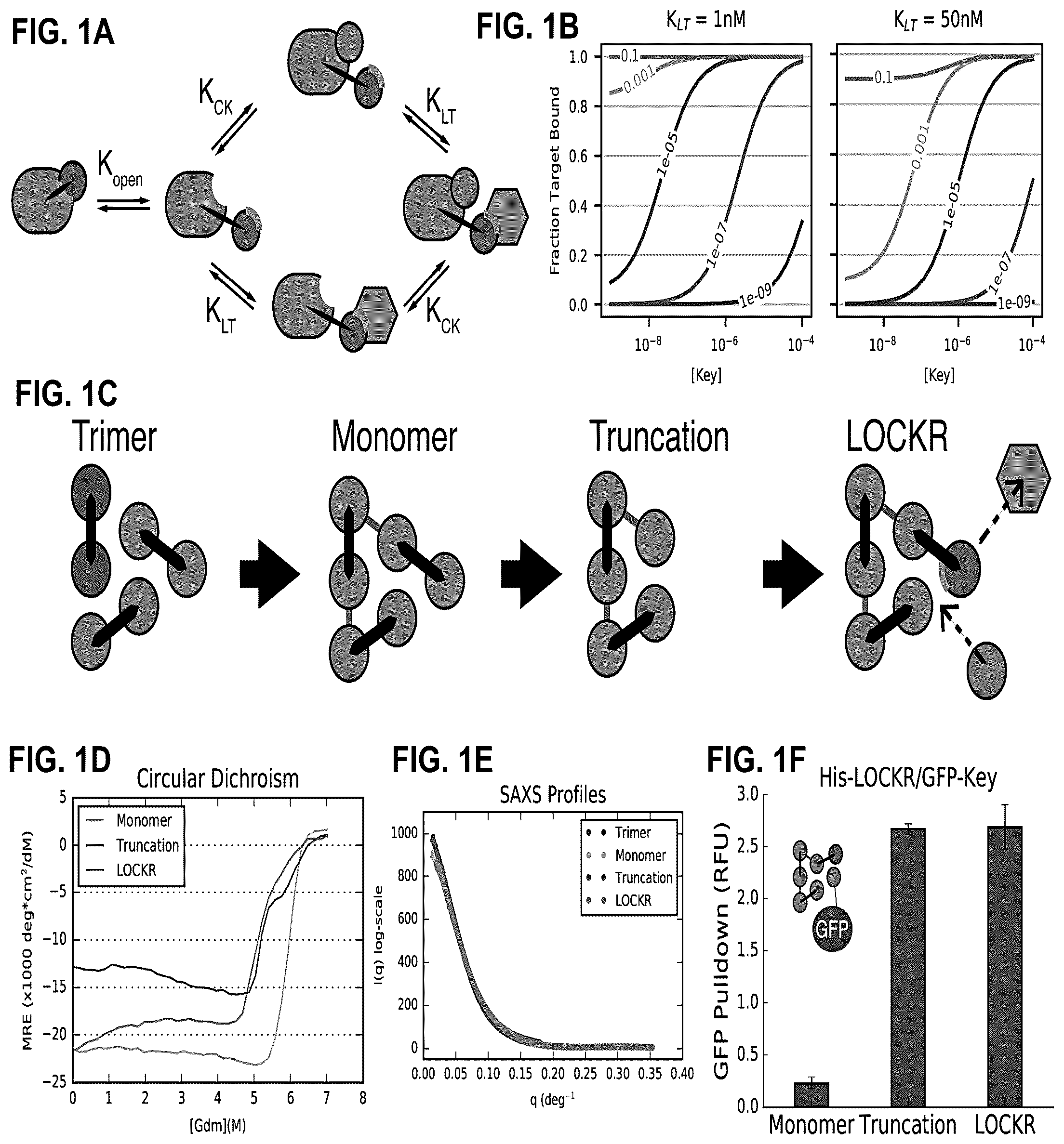 Patent US12304927 — De novo design of protein switches — Figure 1