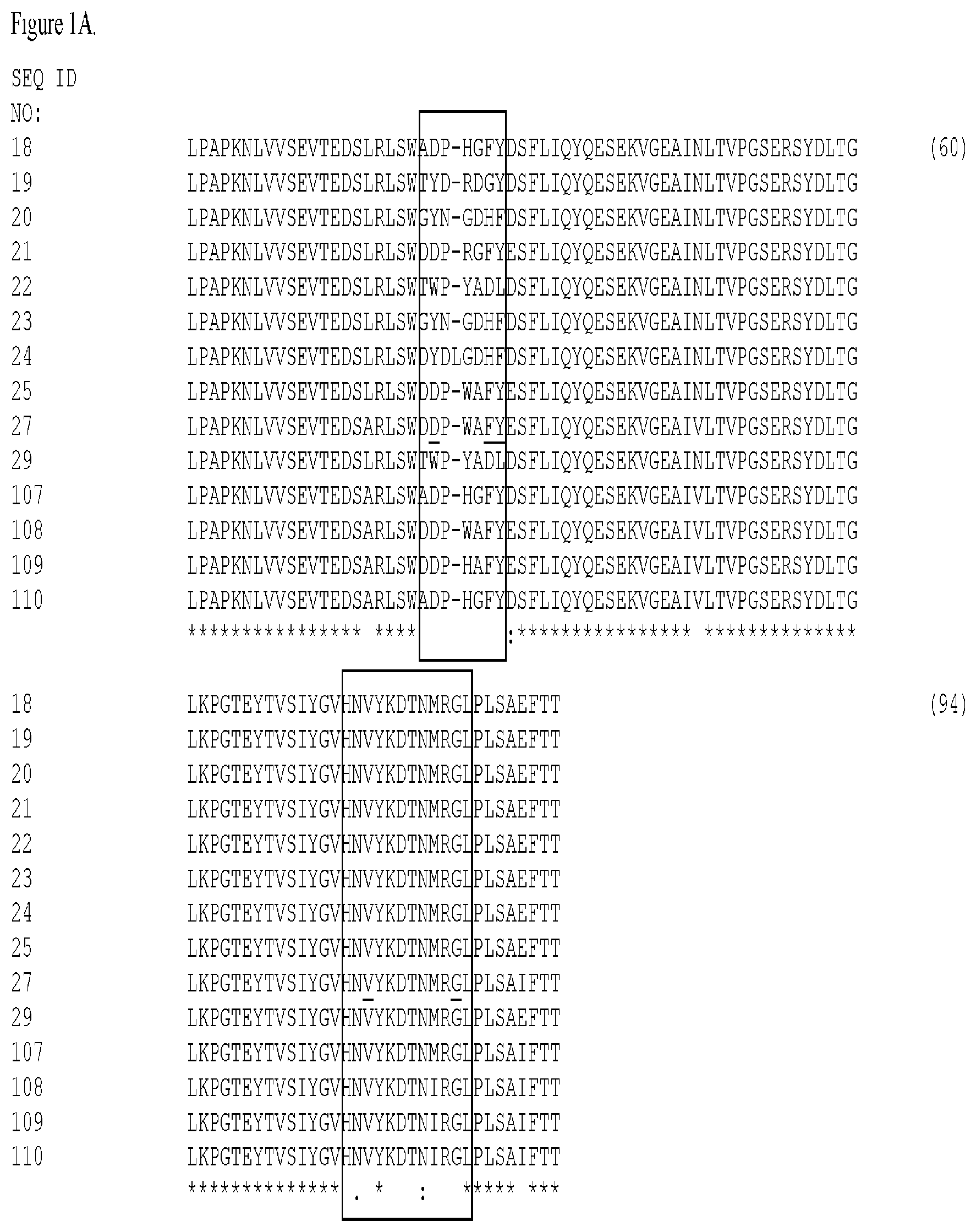 Patent US12304939 — EGFR and C-met fibronectin type III domain binding molecules — Figure 1