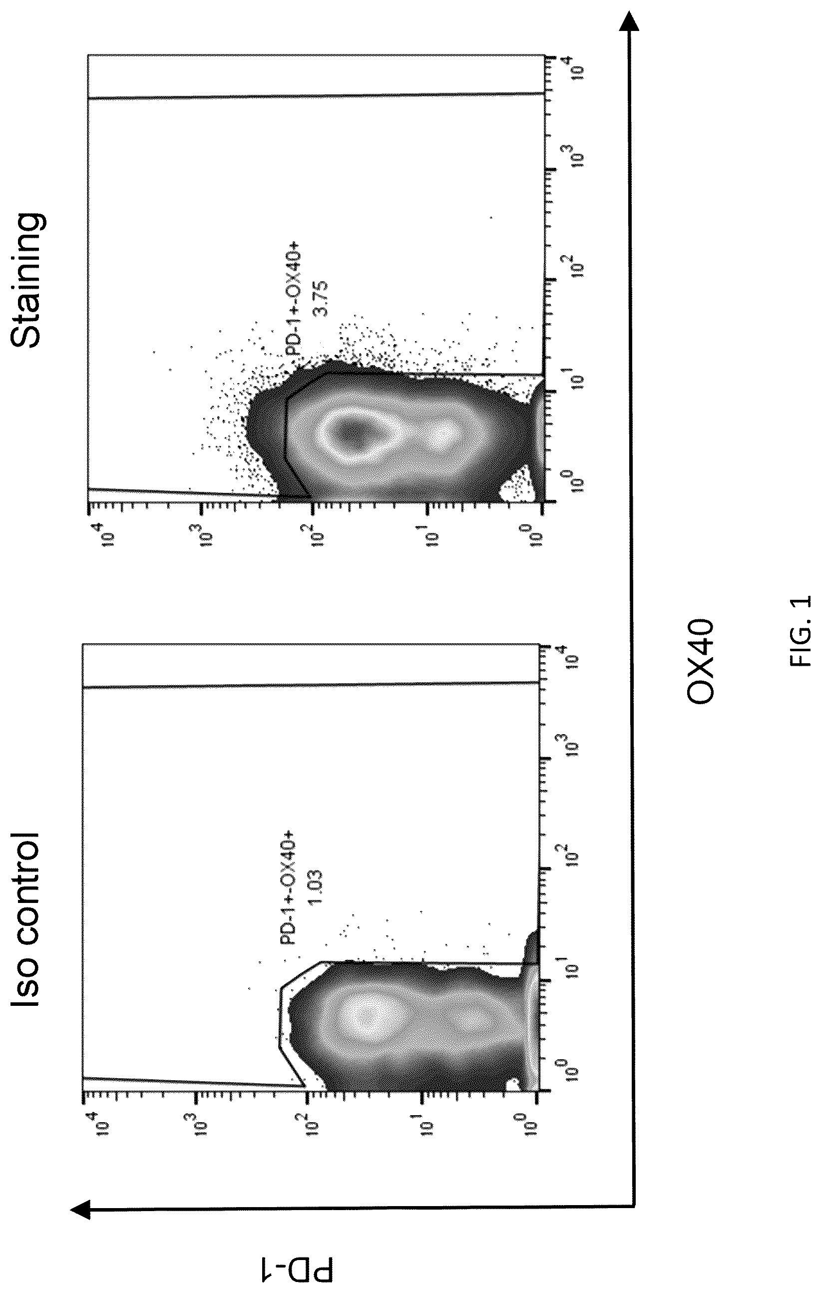 Patent US12304940 Figure 1 – HLA class II-restricted t cell receptors against mutated RAS