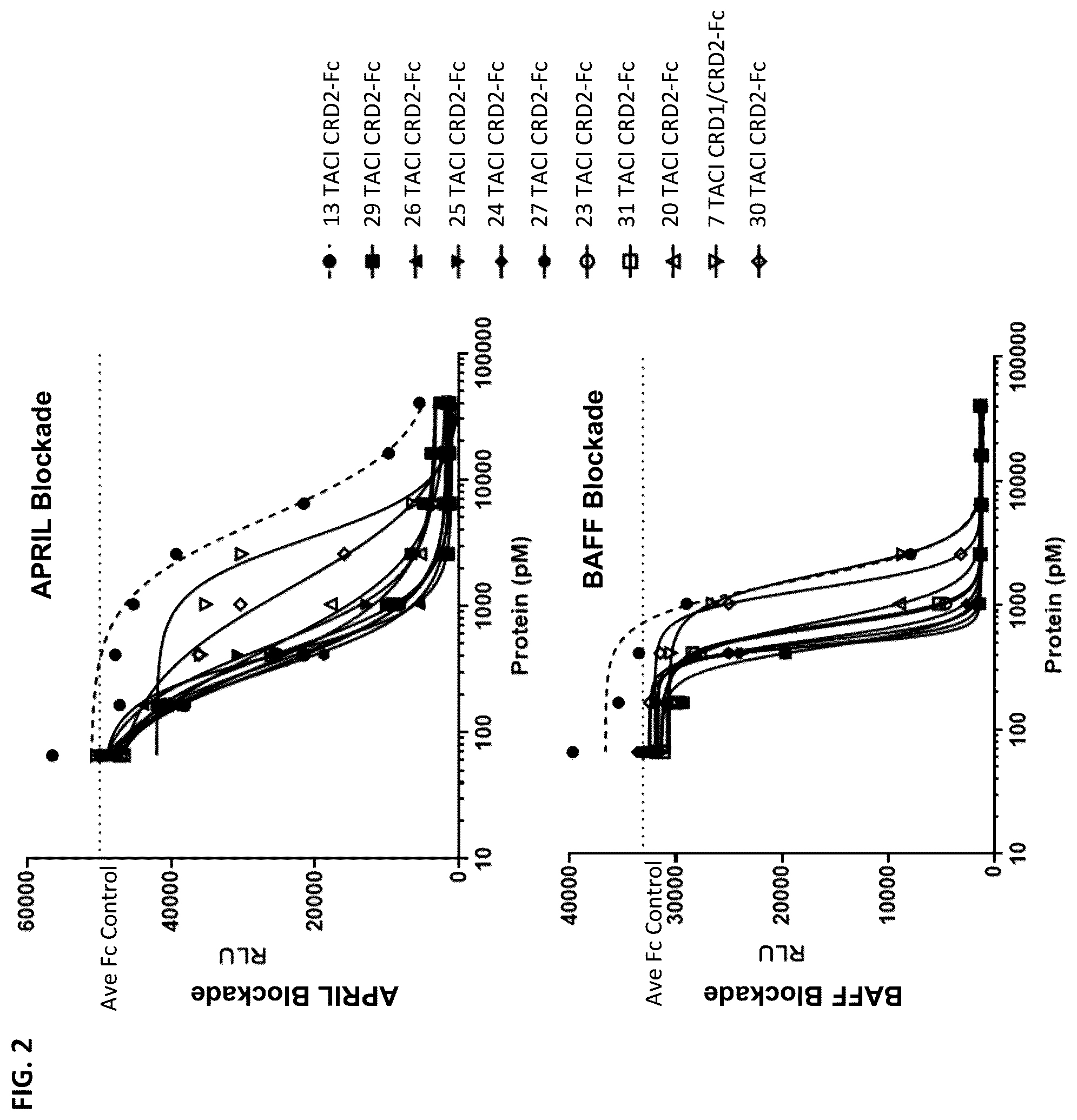 Patent US12304943 Figure 2 – April and BAFF inhibitory immunomodulatory proteins and methods of use thereof