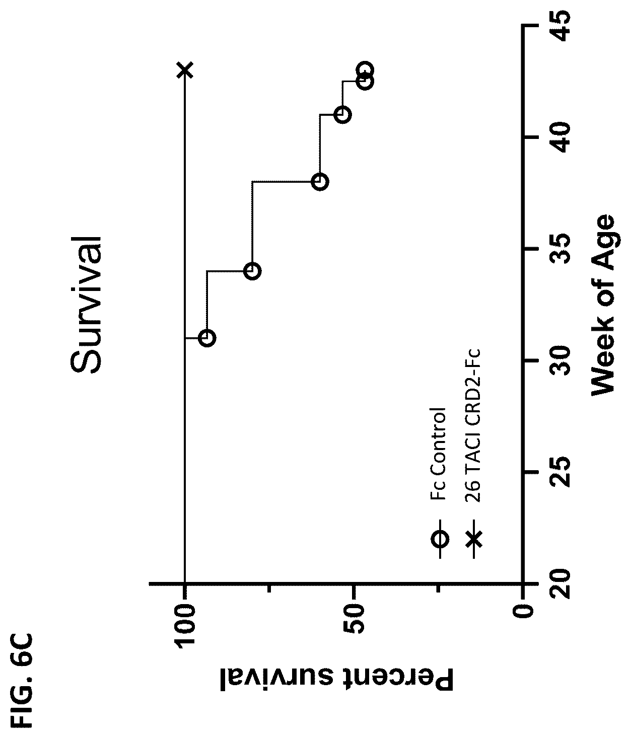 Patent US12304943 Figure 7 – April and BAFF inhibitory immunomodulatory proteins and methods of use thereof