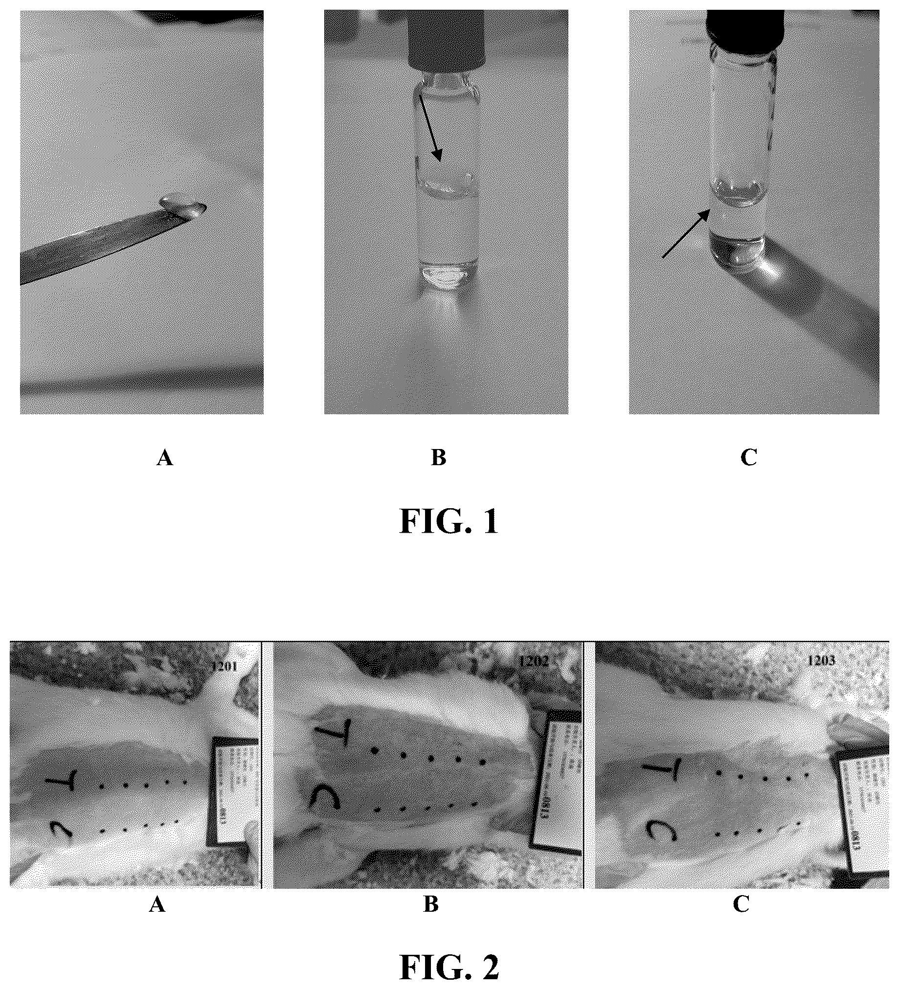 Patent US12304974 — Hyaluronic acid-collagen copolymer compositions and medical applications thereof — Figure 1