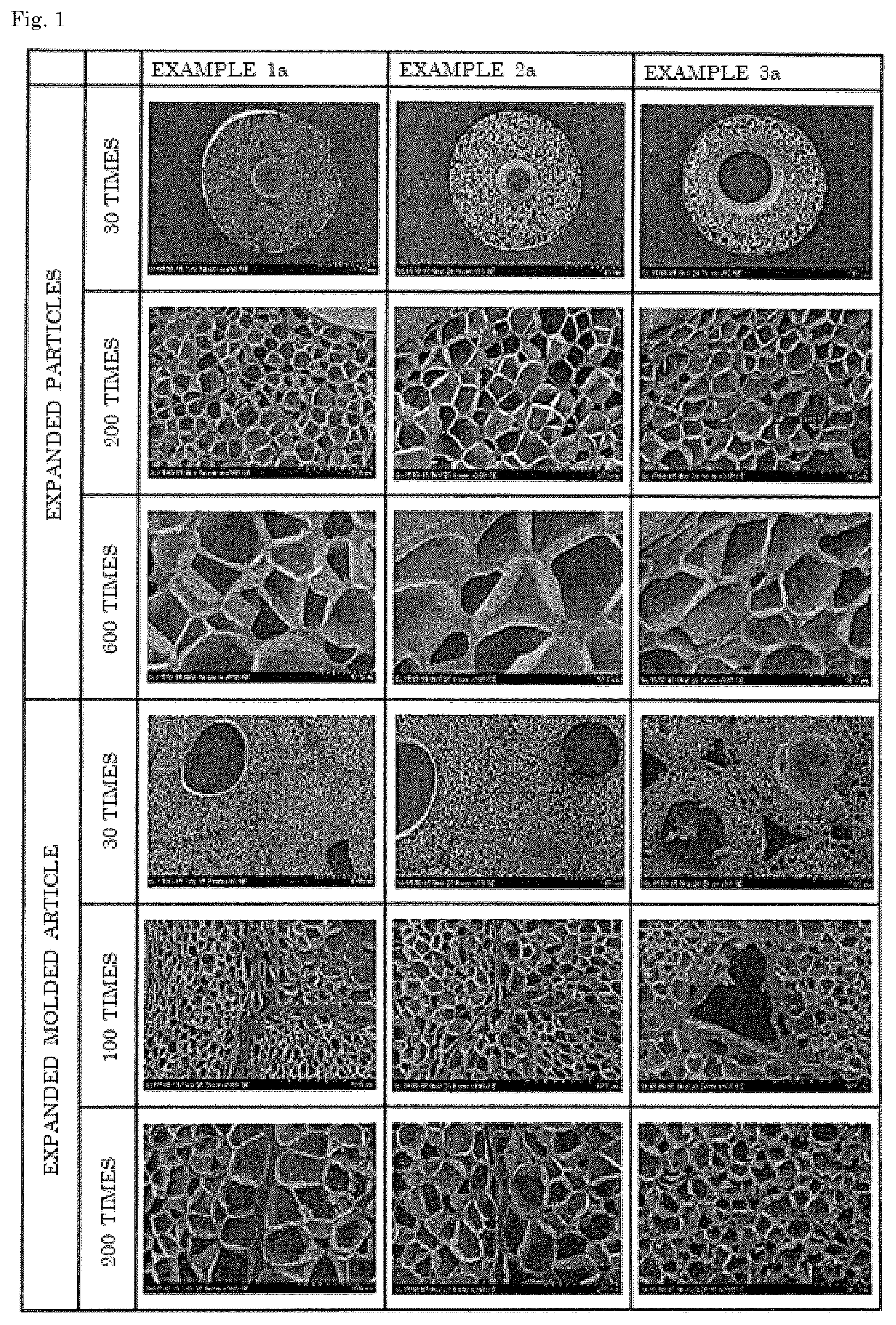 Patent US12305014 — Expanded particles and expanded molded article — Figure 1
