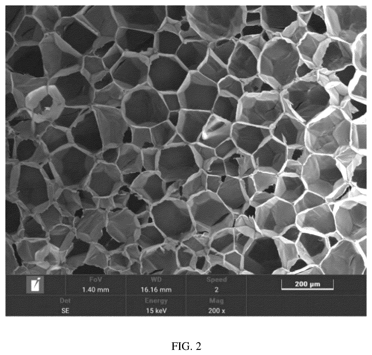 Patent US12305015 Figure 2 – Biodegradable polymer expanded bead capable of being formed by steam compression molding