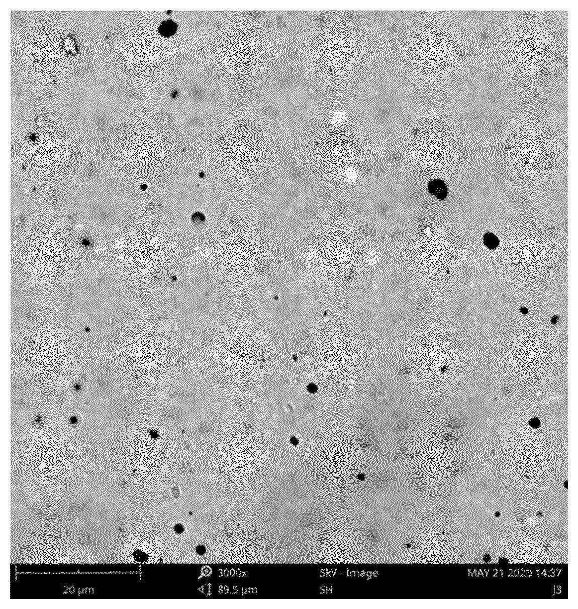 Patent US12305045 — Polyamide coating slurry and its preparing method, and process for preparing polyamide-coated fabric for printing — Figure 1