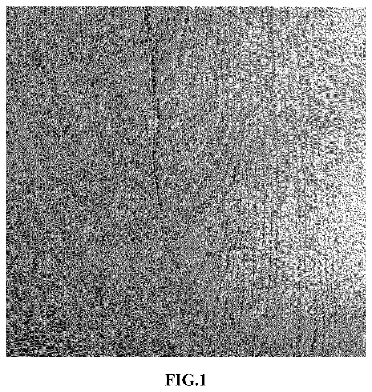 Patent US12305072 Figure 1 – Method for treating surface of floor