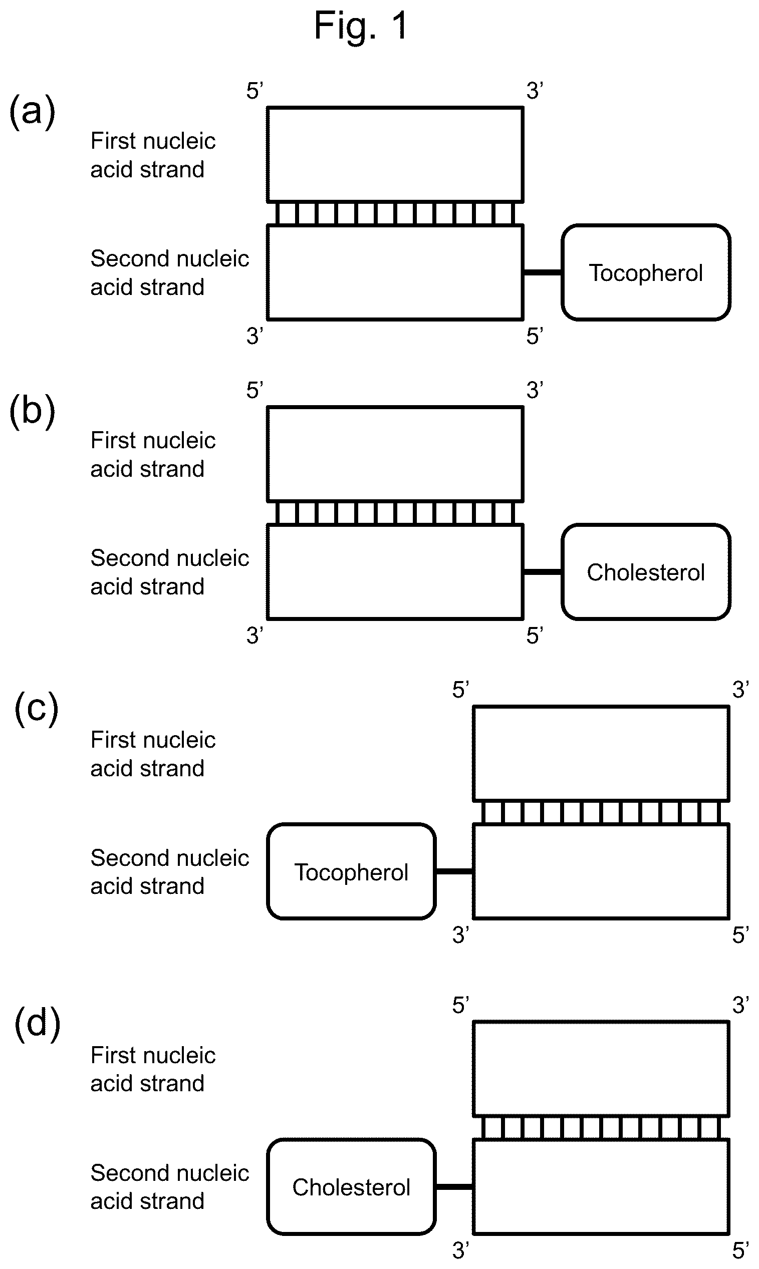 Patent US12305169 — BBB-crossing lipid ligand of hetero nucleic acid — Figure 1