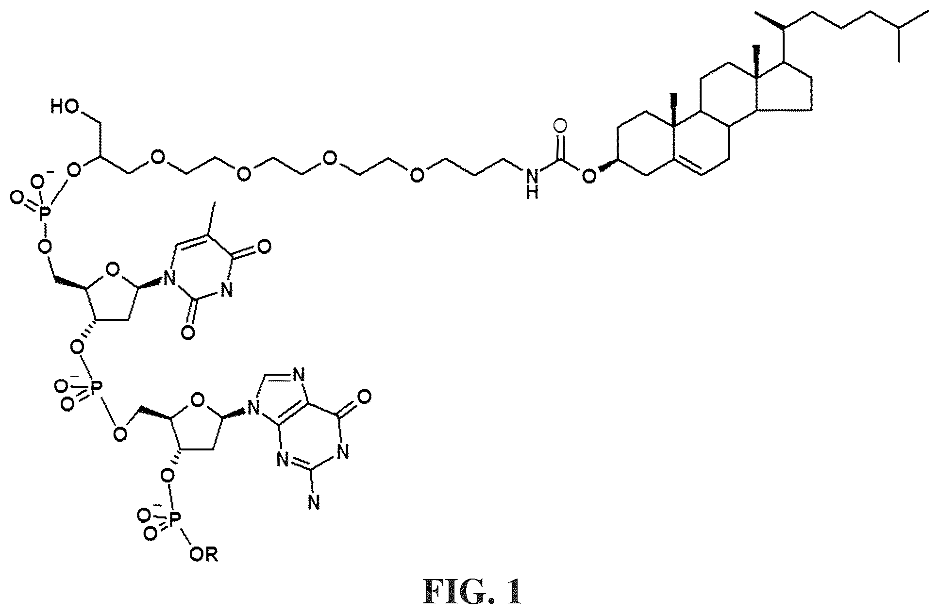 Patent US12305173 — Immunostimulatory compositions — Figure 1