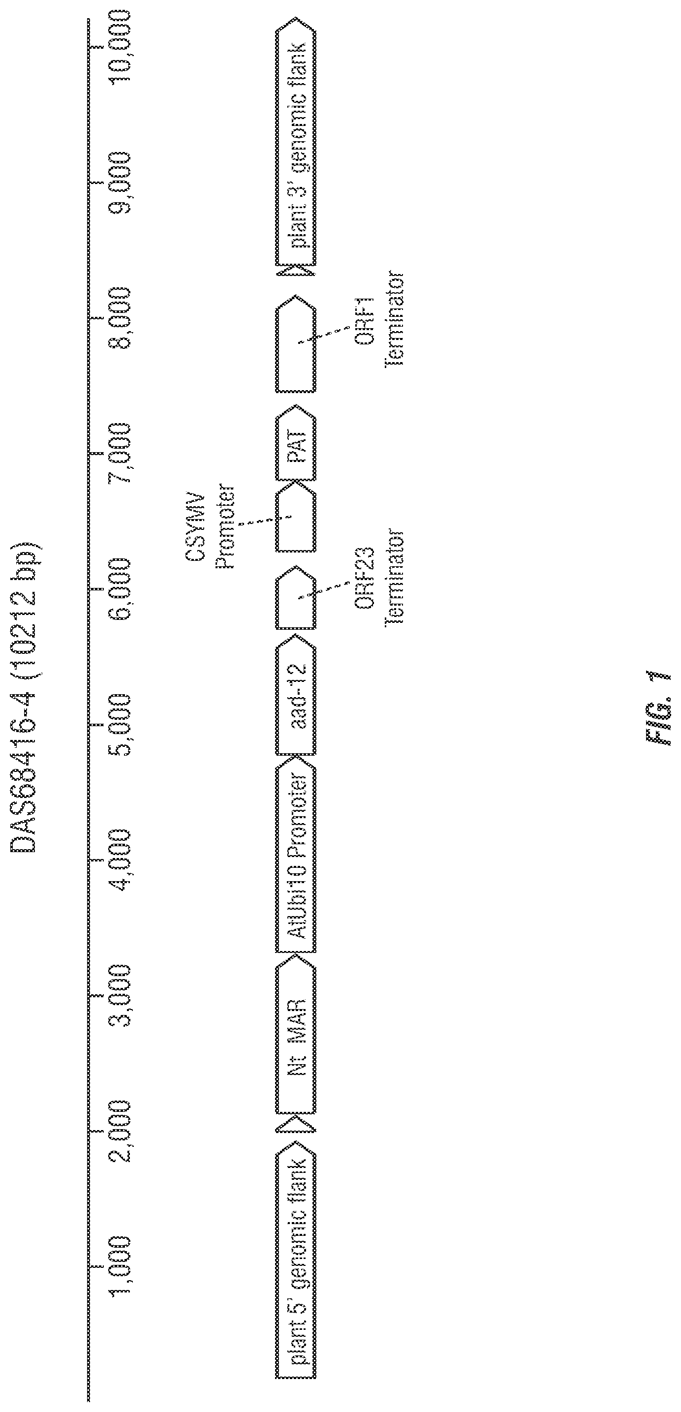 Patent US12305175 — Modified excisable DAS68416-4 soybean transgenic herbicide resistance locus — Figure 1