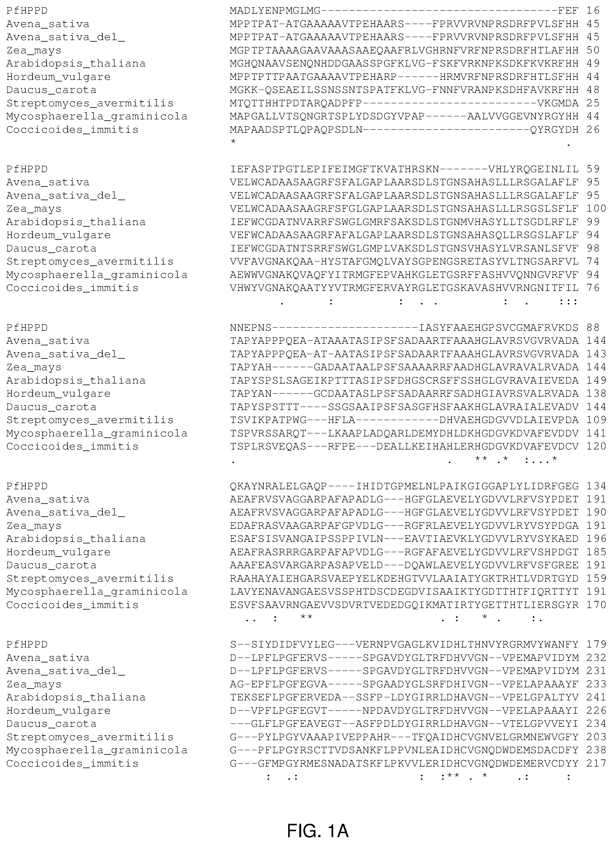 Patent US12305181 — HPPD variants and methods of use — Figure 1