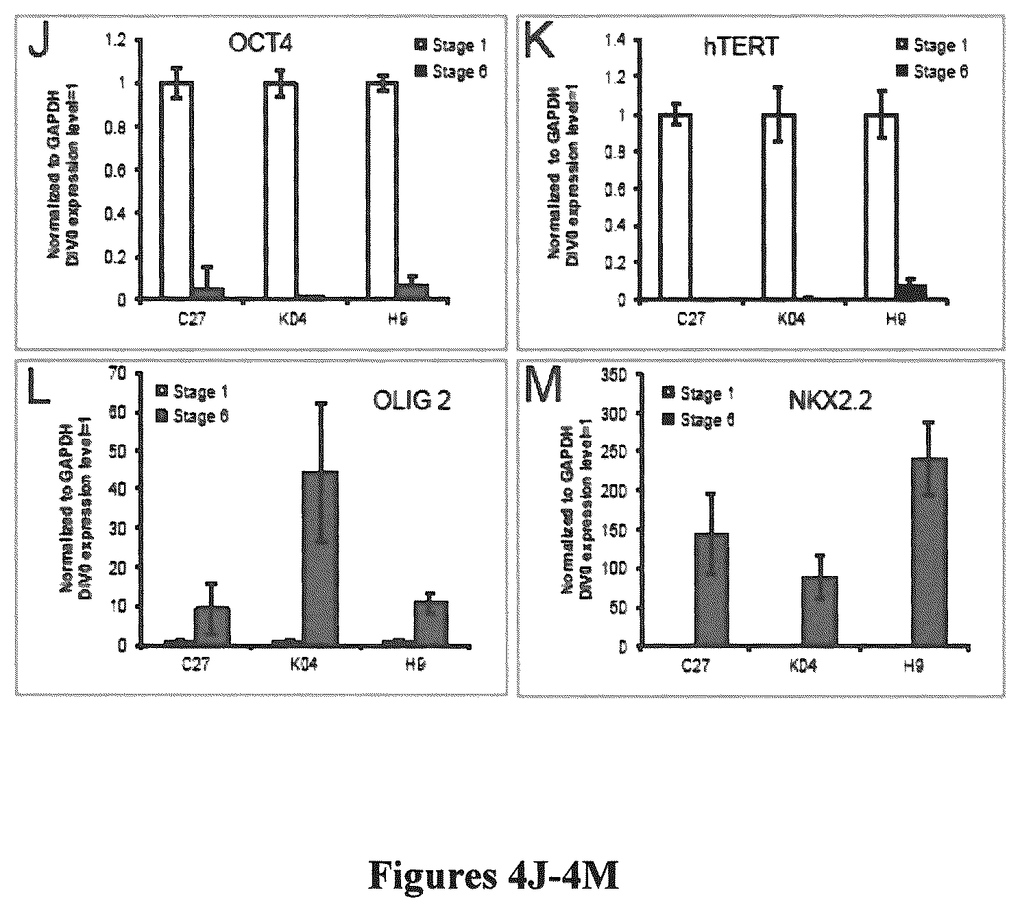 Patent US12305195 Figure 5 – Induced pluripotent cell-derived oligodendrocyte progenitor cells for the treatment of myelin disorders