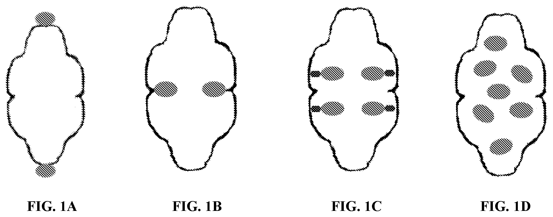 Patent US12305200 — Methods and compositions for vault nanoparticle immobilization of therapeutic molecules and for vault targeting — Figure 1