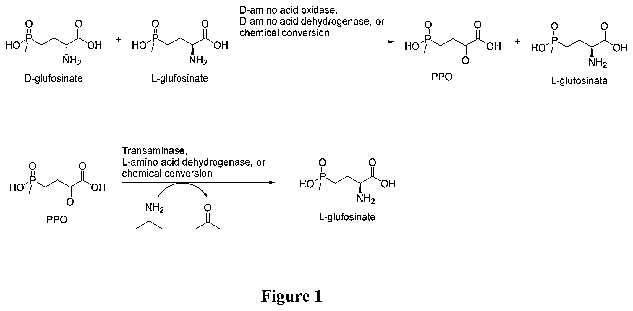 Patent US12305206 Figure 1 – Methods for making L-glufosinate
