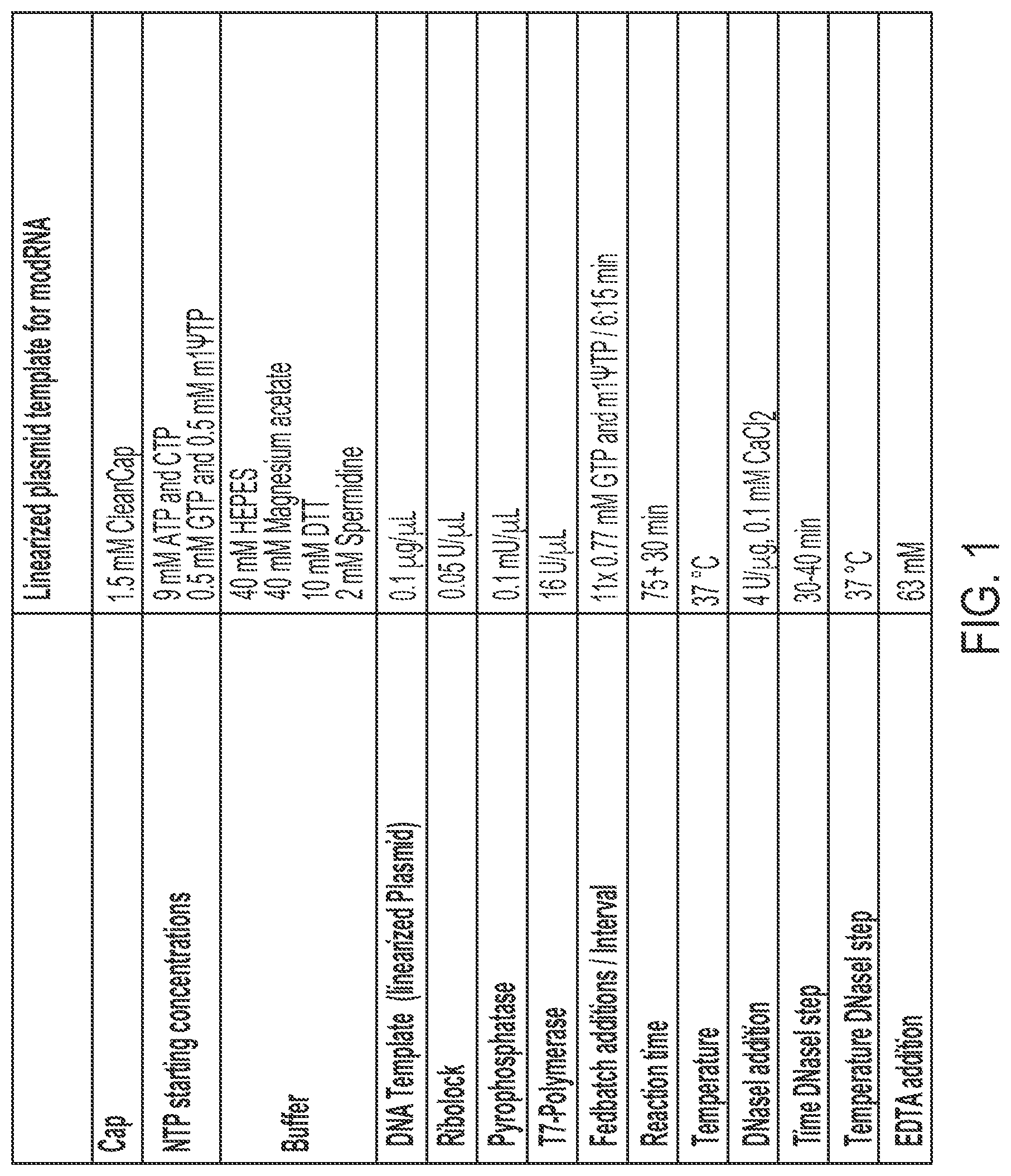 Patent US12305210 — In vitro transcription technologies — Figure 1
