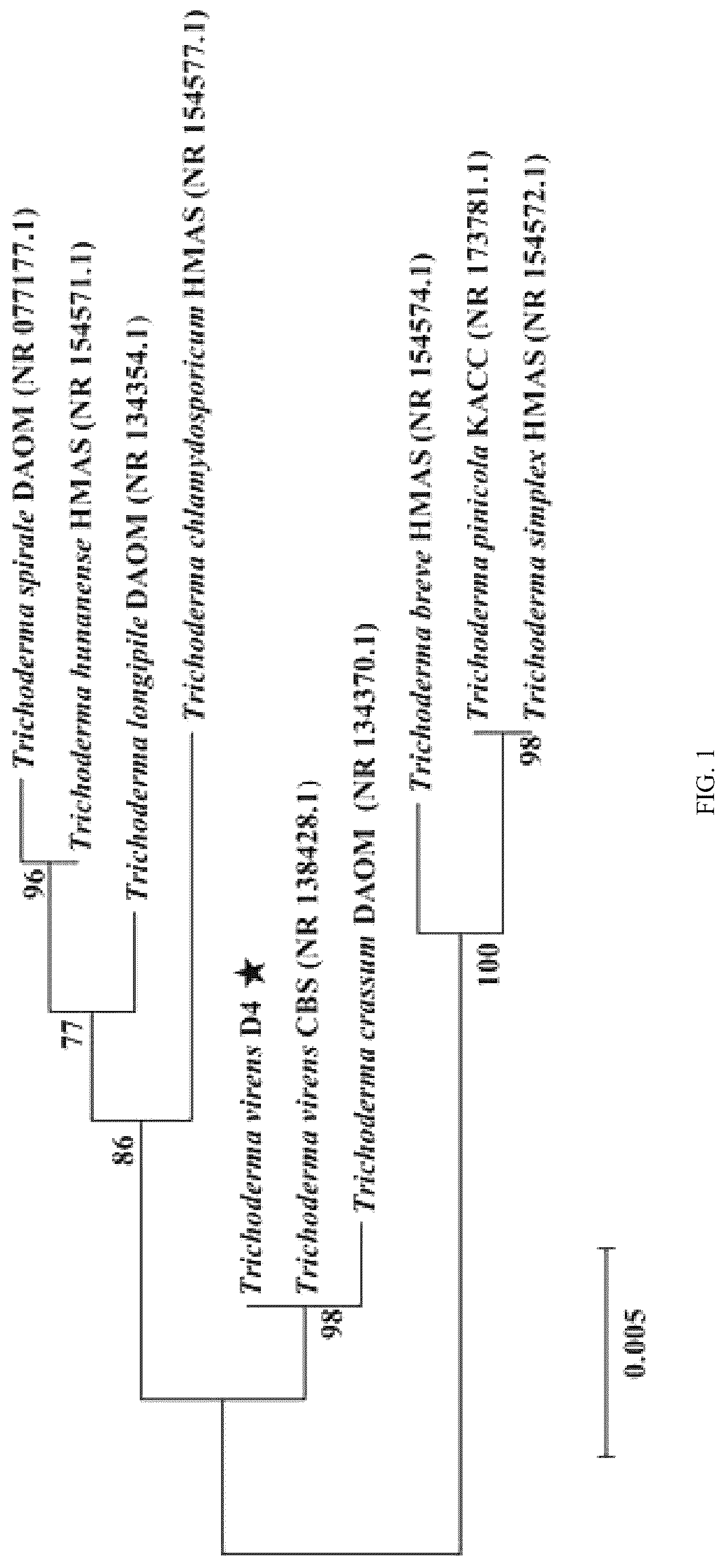 Patent US12305216 — Method for selecting aerobic denitrifying fungus and method for remediating water body with low carbon-to-nitrogen ratio using aerobic denitrifying fungus — Figure 1